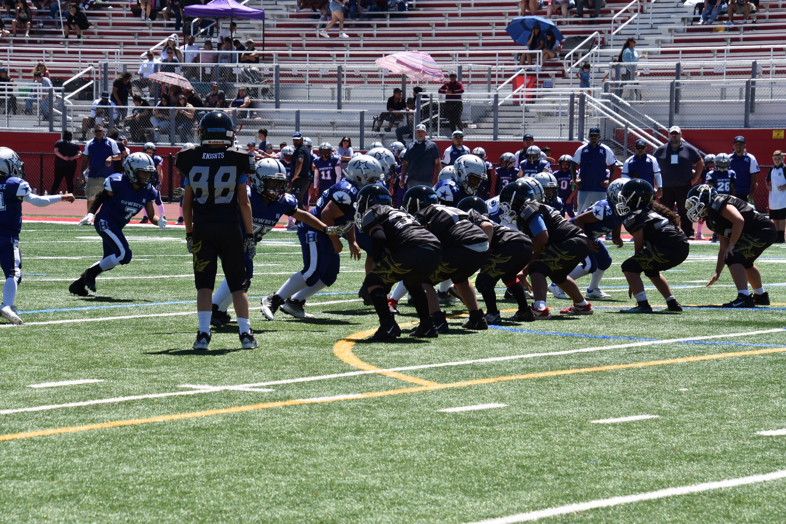 DSC_8806.jpg