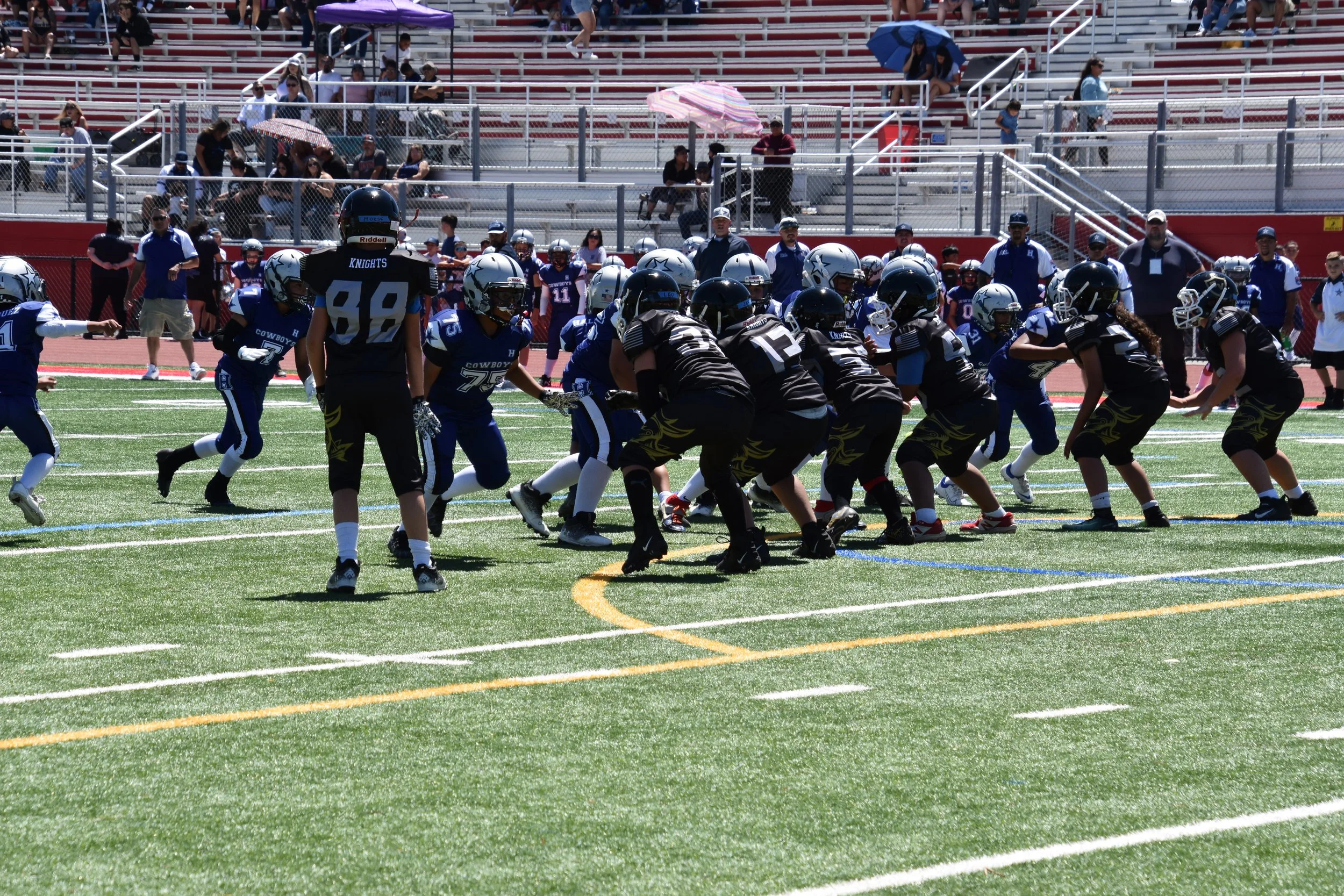 DSC_8807.jpg