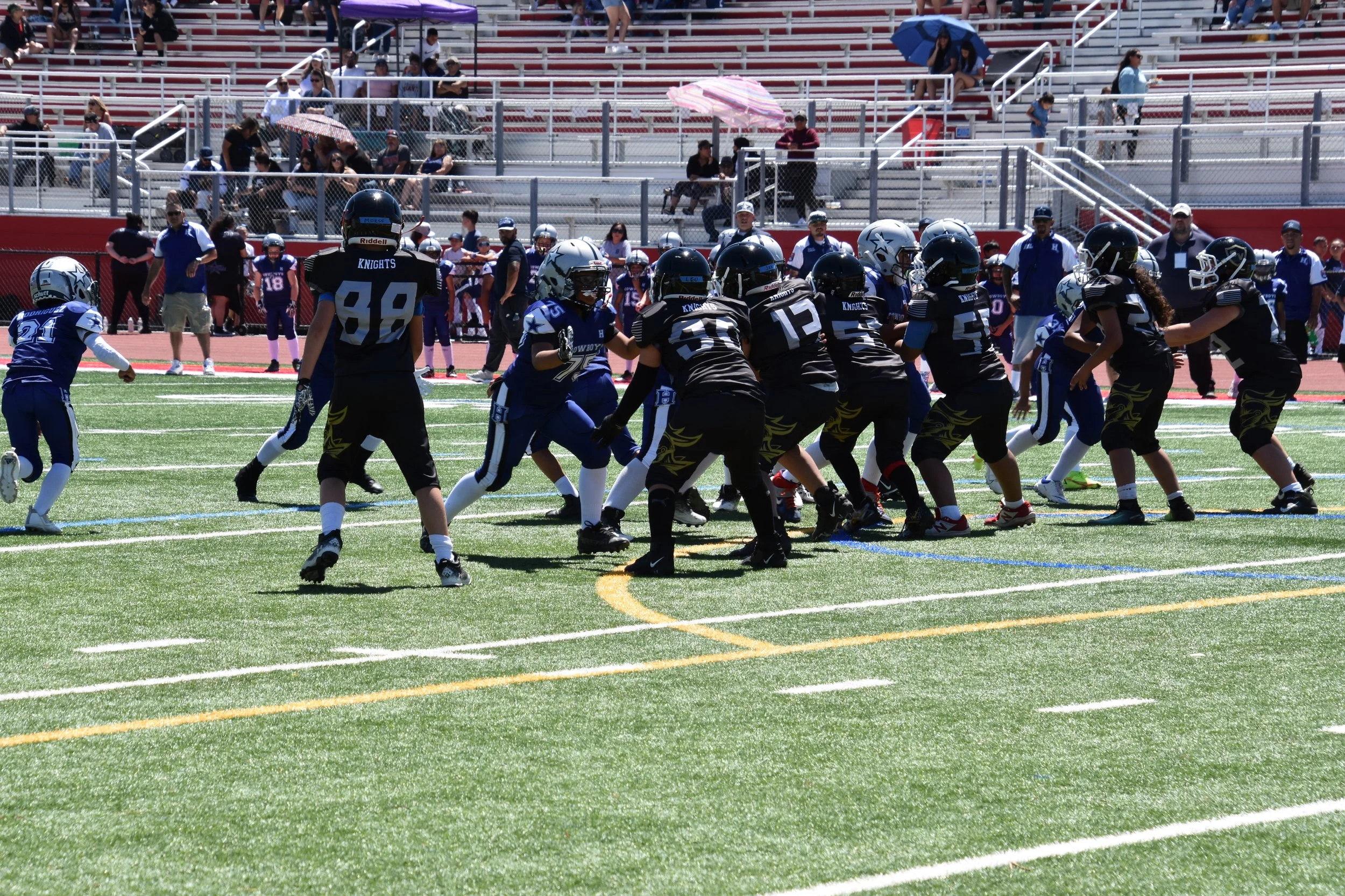 DSC_8808.jpg