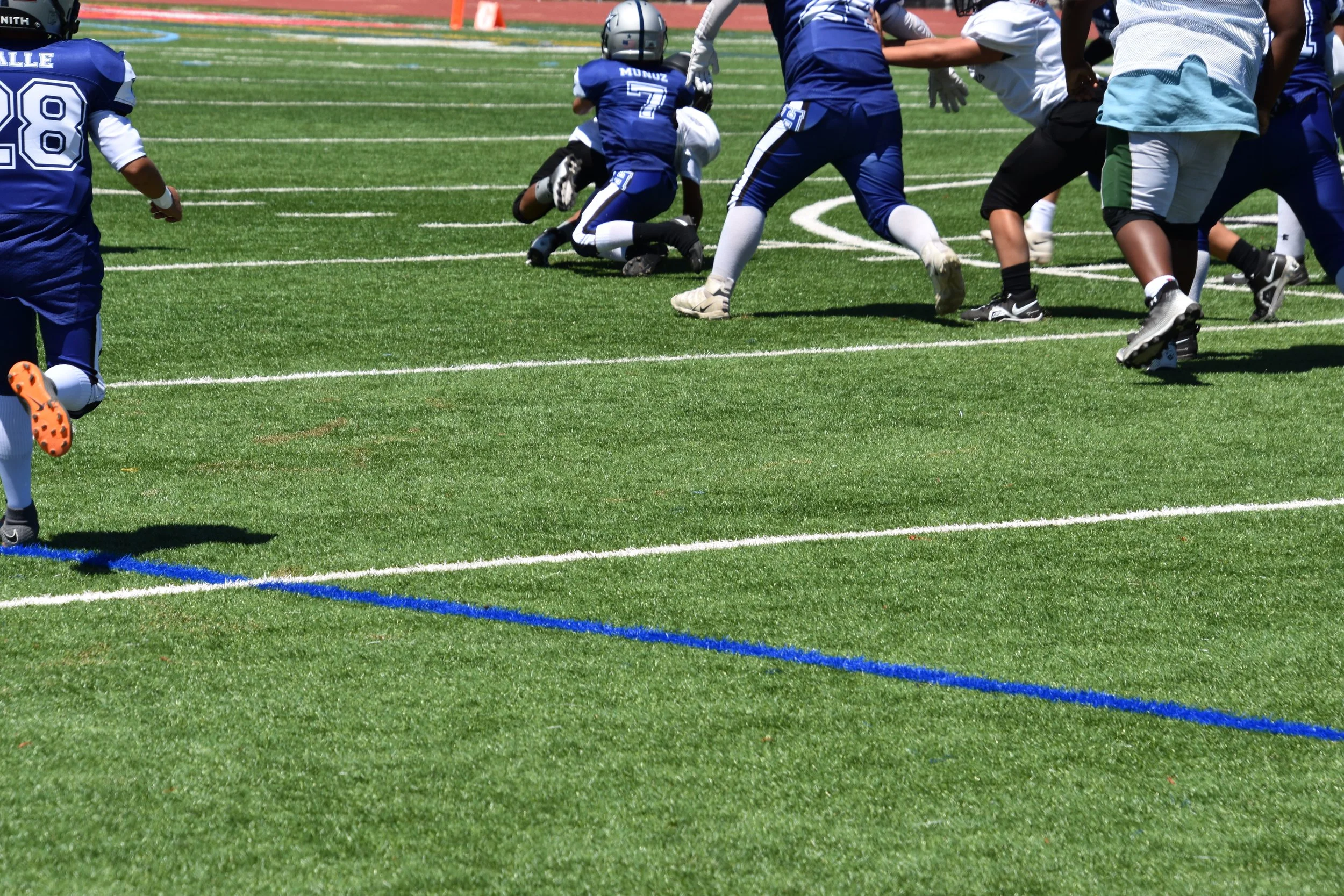 DSC_8878.jpg