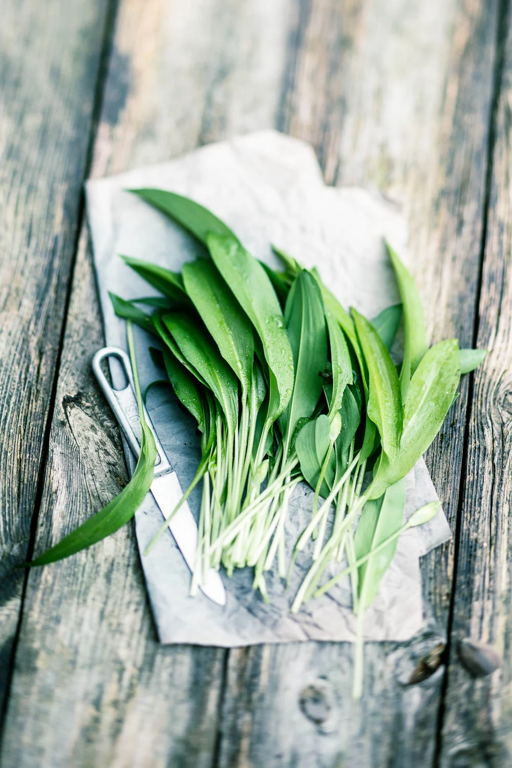 Bärlauch, frisch geschnitten - veggielicious | gemüse. fotos. rezepte.