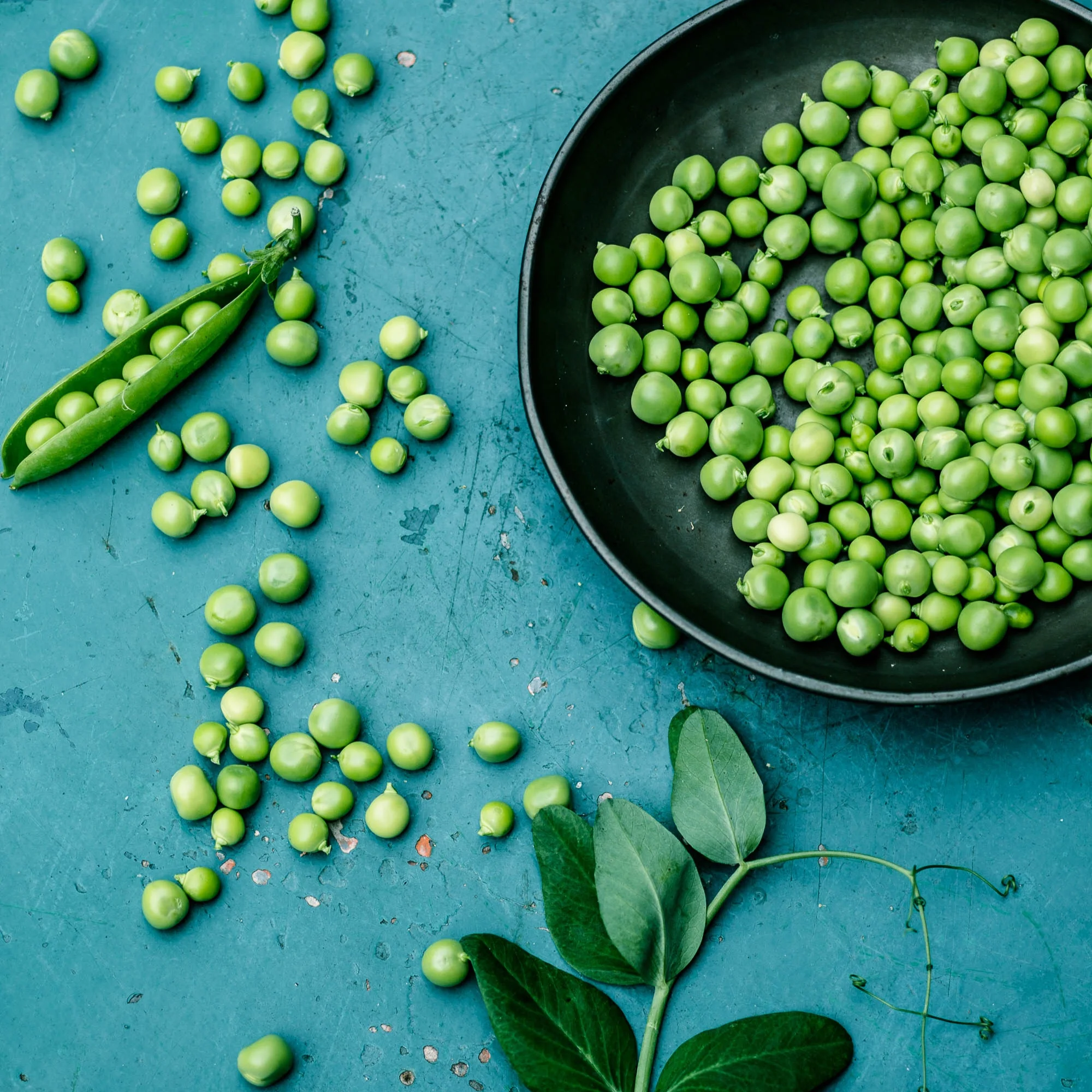 Erbsen, eine Schote, eine Ranke- veggielicious | gemüse. fotos. rezepte.