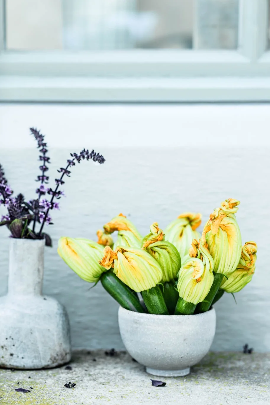 Zucchiniblüten und Basilikumblüten: Köstlich und dekorativ. - veggielicious | gemüse. fotos. rezepte.