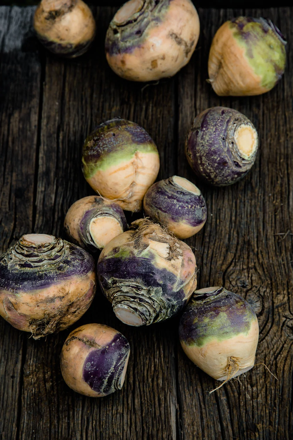 Mangoldvielfalt in allen Farben. - veggielicious | gemüse. fotos. rezepte.