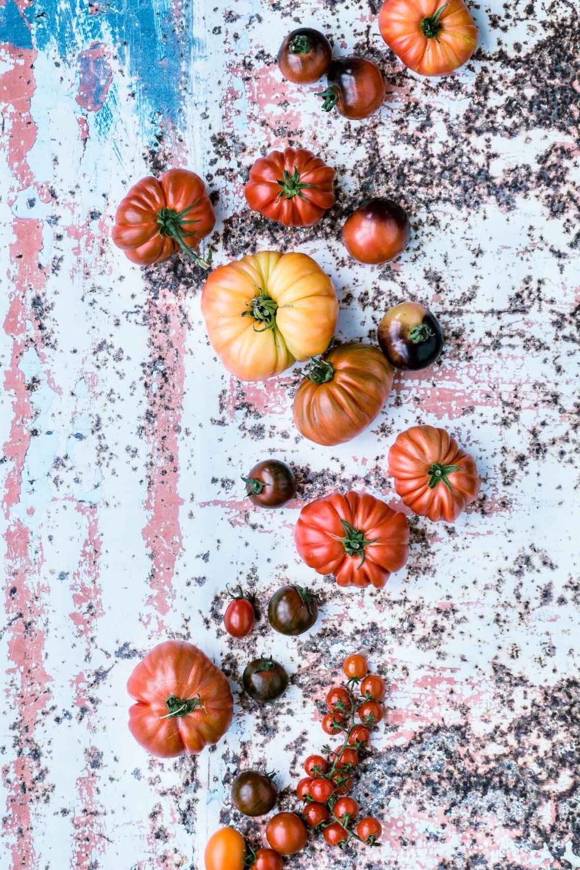 tomatenvielfalt-tomaten-stilleben-veggielicious-food-fotografie-01-dt-hoch.jpg