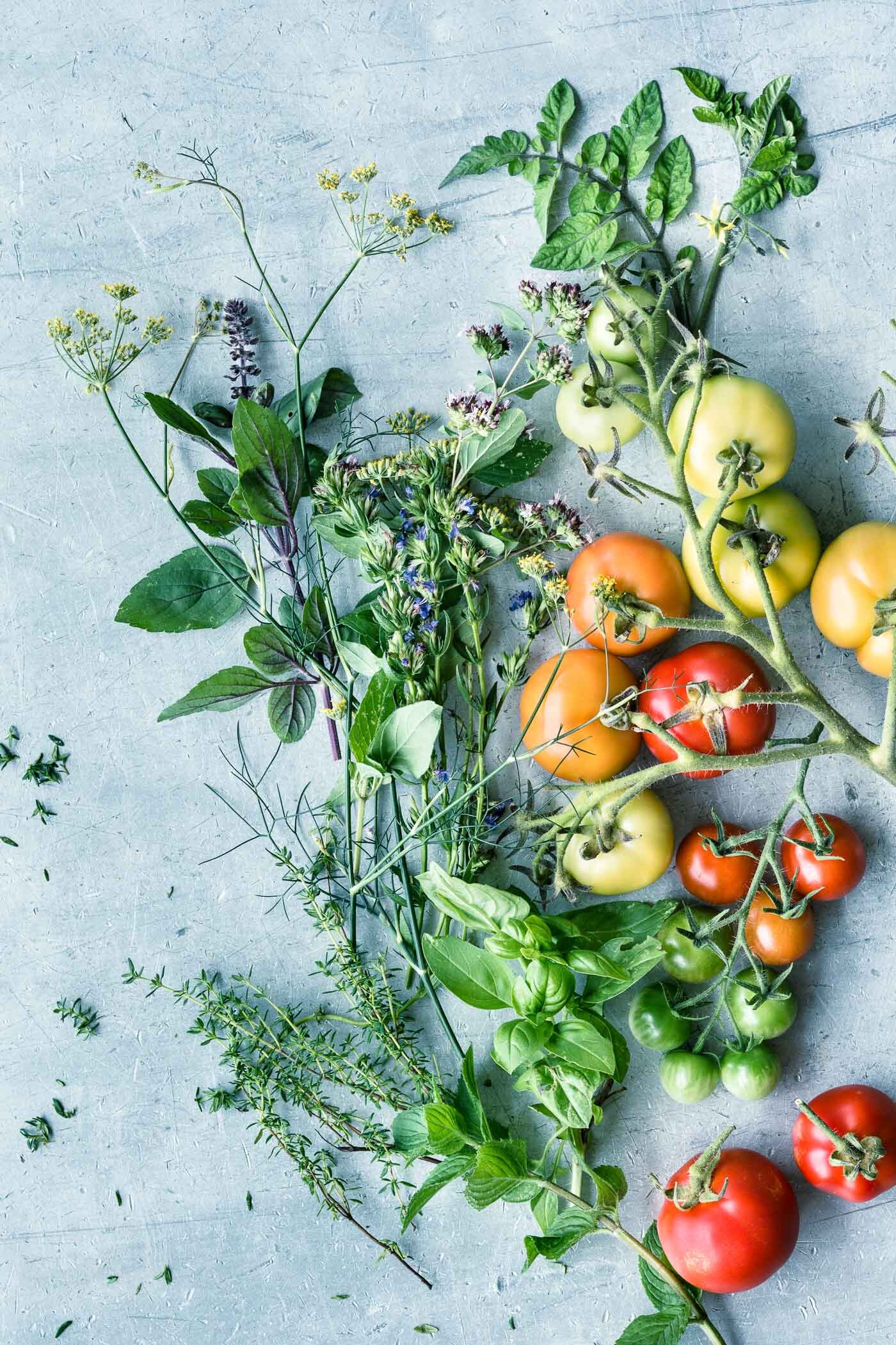 tomaten-kraeuter-tomaten-stilleben-veggielicious-food-fotografie-3-dt-hoch.jpg