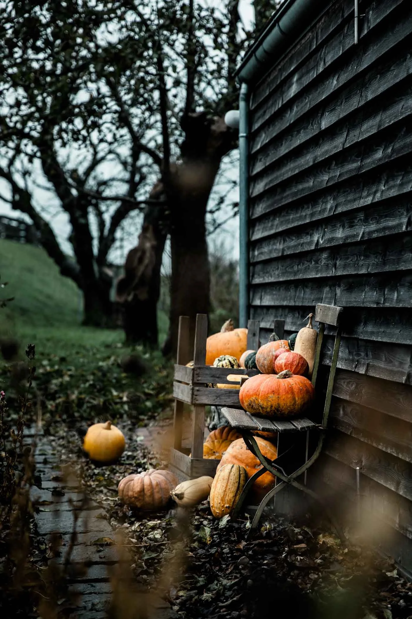 kuerbis-herbstliche-ernte-kuerbis-stilleben-veggielicious-food-fotografie-03-dt-hoch.jpg