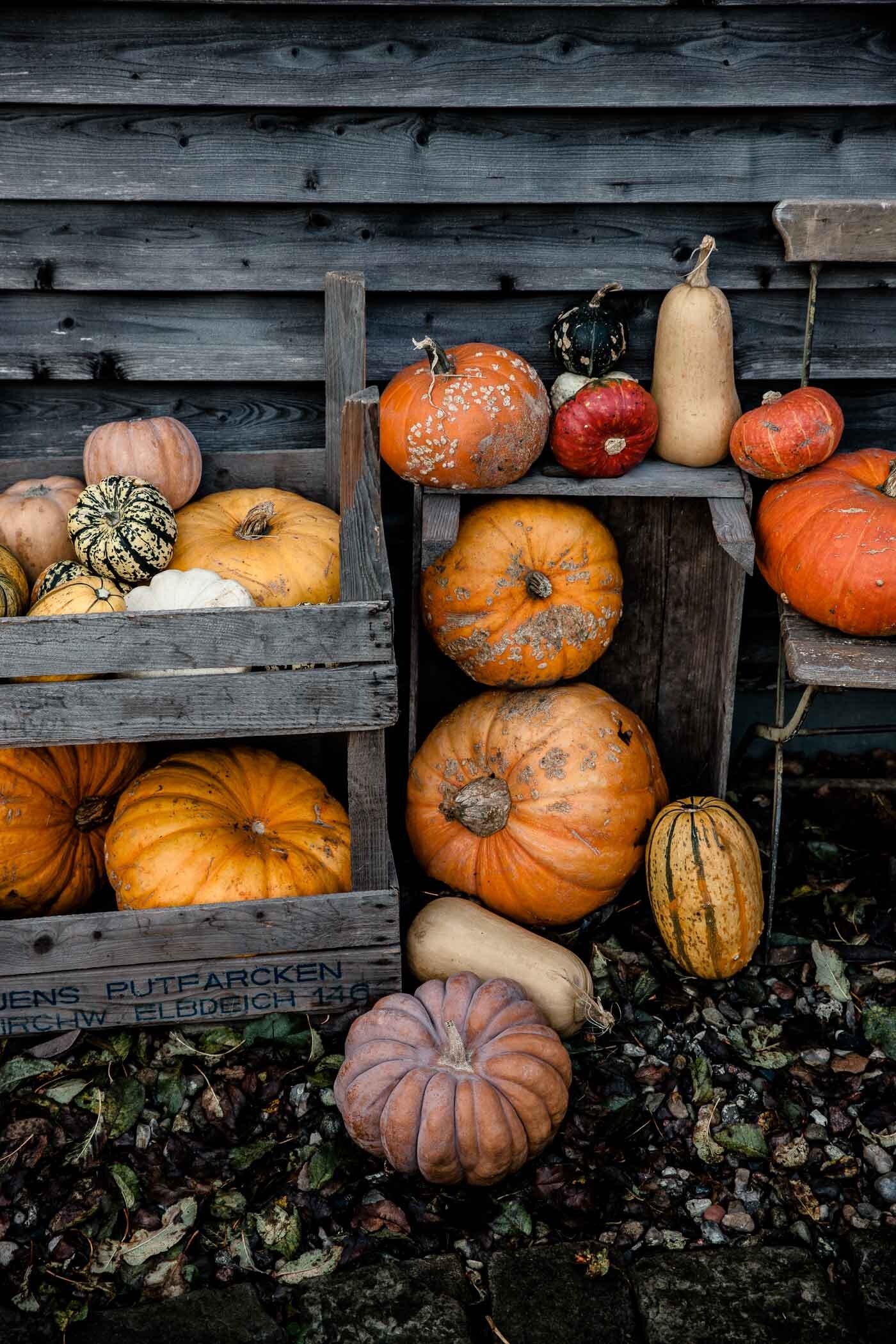 kuerbisse-stapeln-sich-in-kisten-kuerbis-stilleben-veggielicious-food-fotografie-01-dt-hoch.jpg