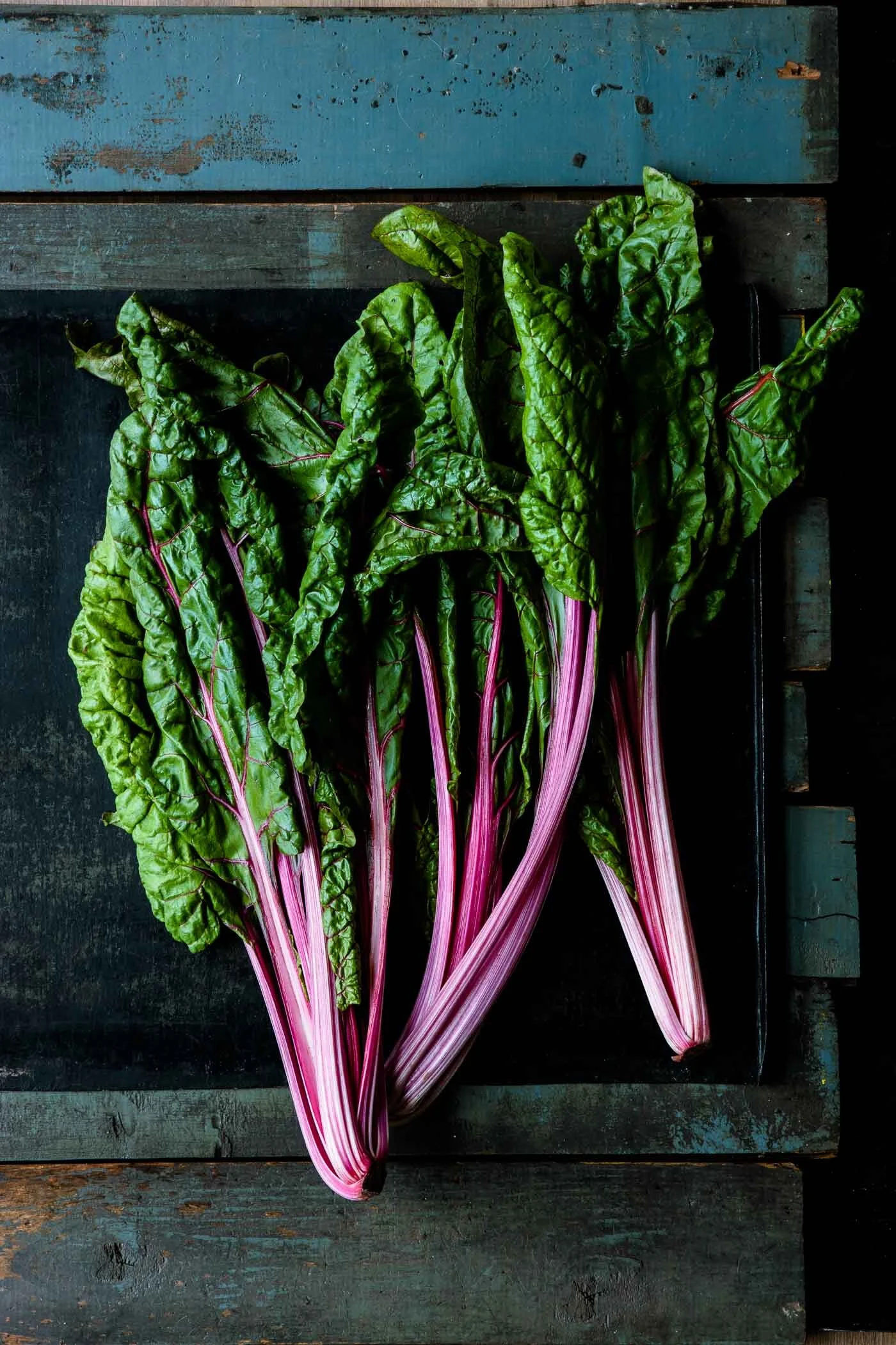 Pinkfarbener Mangold - veggielicious.de