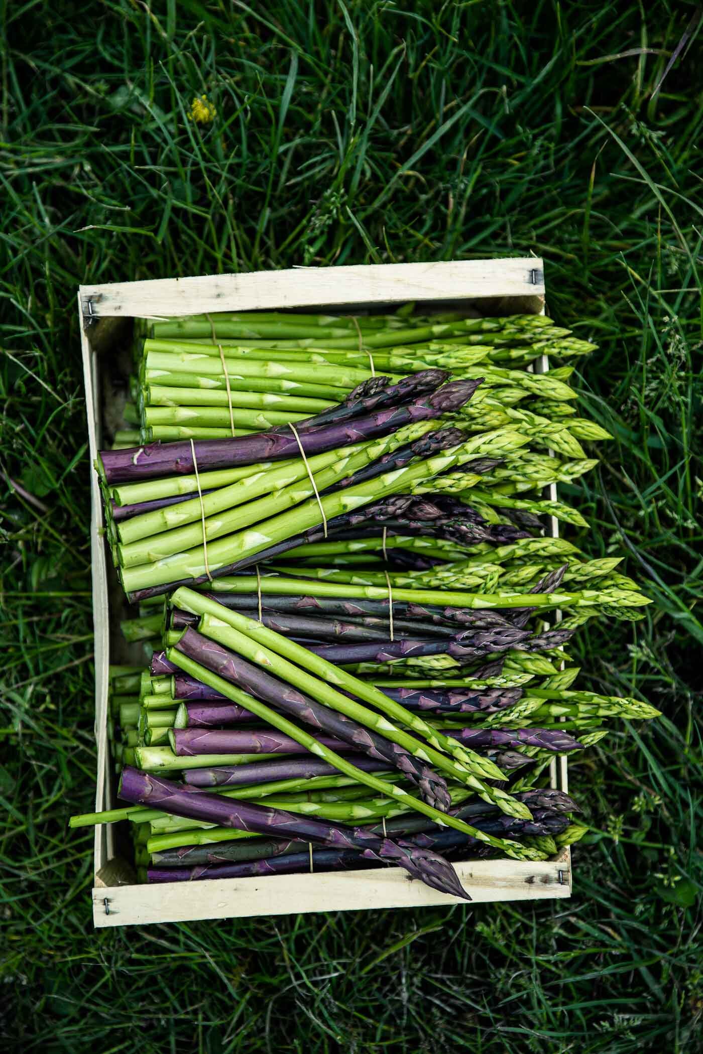 spargelernte-gruener-violetter-spargel-reportage-veggielicious-food-fotografie-133-dt-hoch.jpg