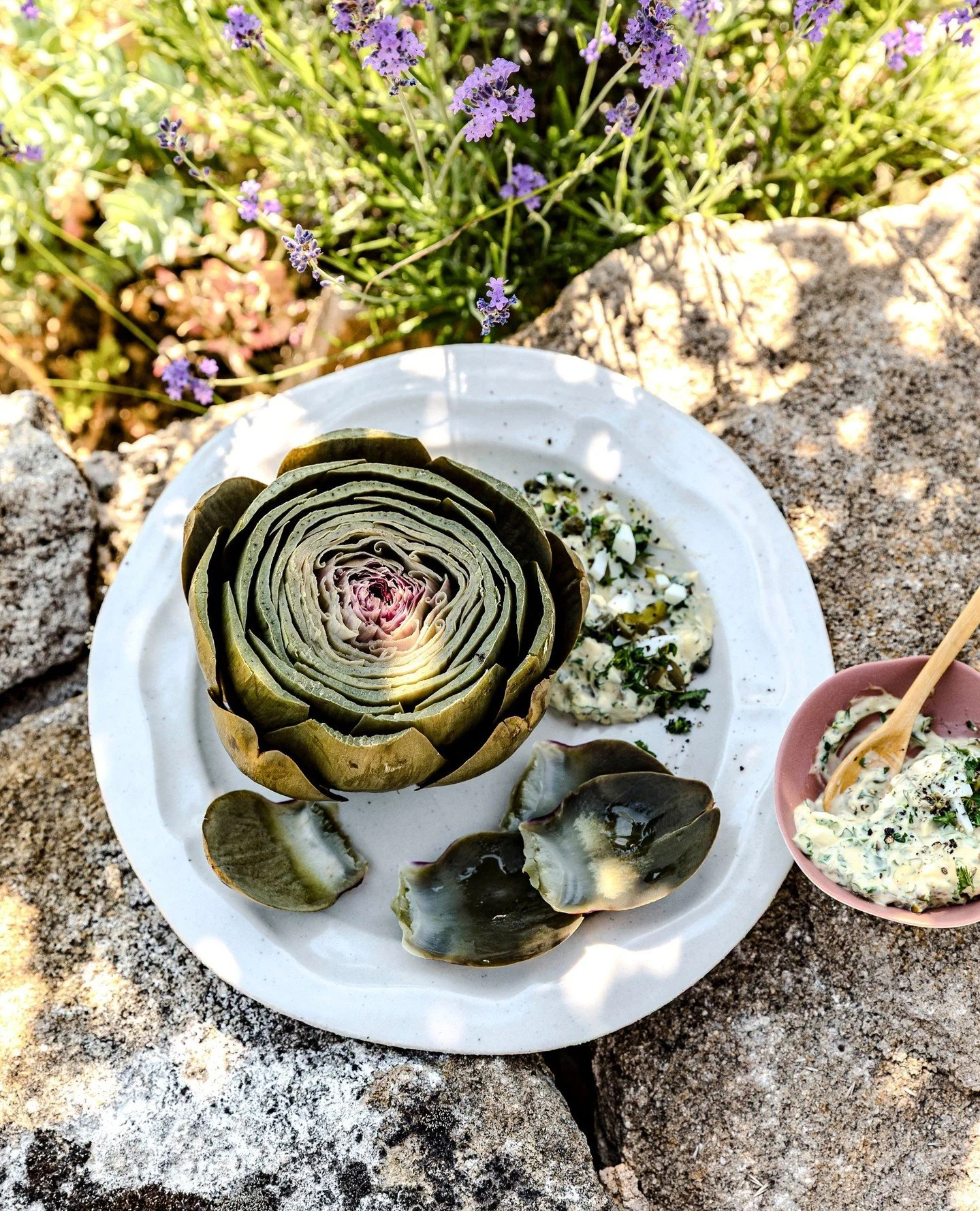 Seit ich in der Bretagne zum ersten Mal Artischockenfelder gesehen habe, ist die Region f&uuml;r mich unweigerlich mit Artischocken verbunden. Genauso geht&rsquo;s mir mit der Sauce gribiche, die f&uuml;r mich zum Besten z&auml;hlt, was man zu Artisc