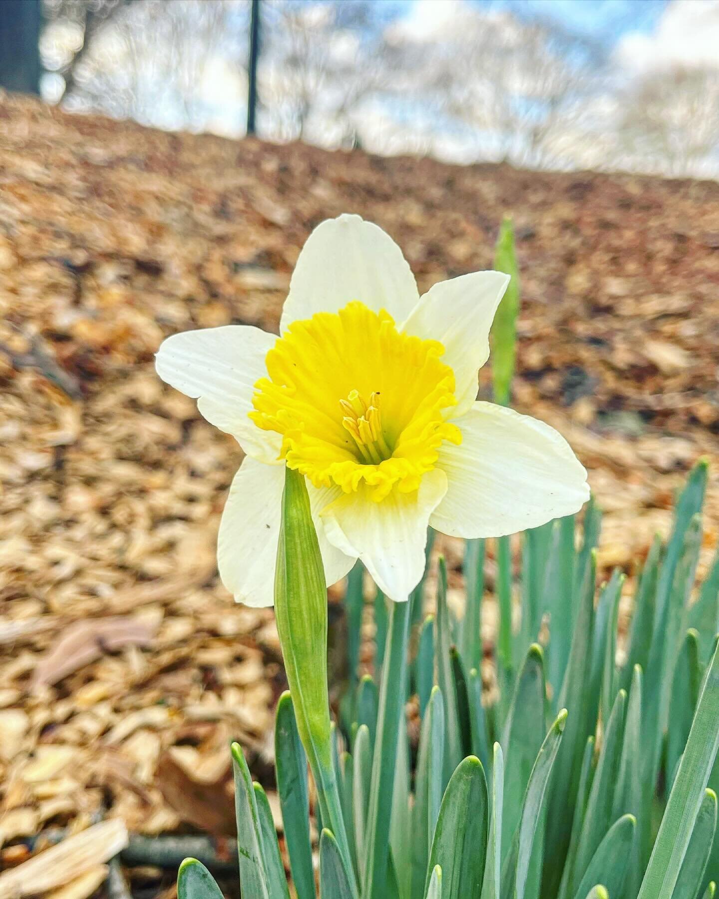 And just when you think you&rsquo;ll be stuck in this place (season, cycle, situation) forever, a messenger of change arrives. 

Surrender doesn&rsquo;t always mean giving up. It means finding acceptance, reducing resistance, letting go and allowing 