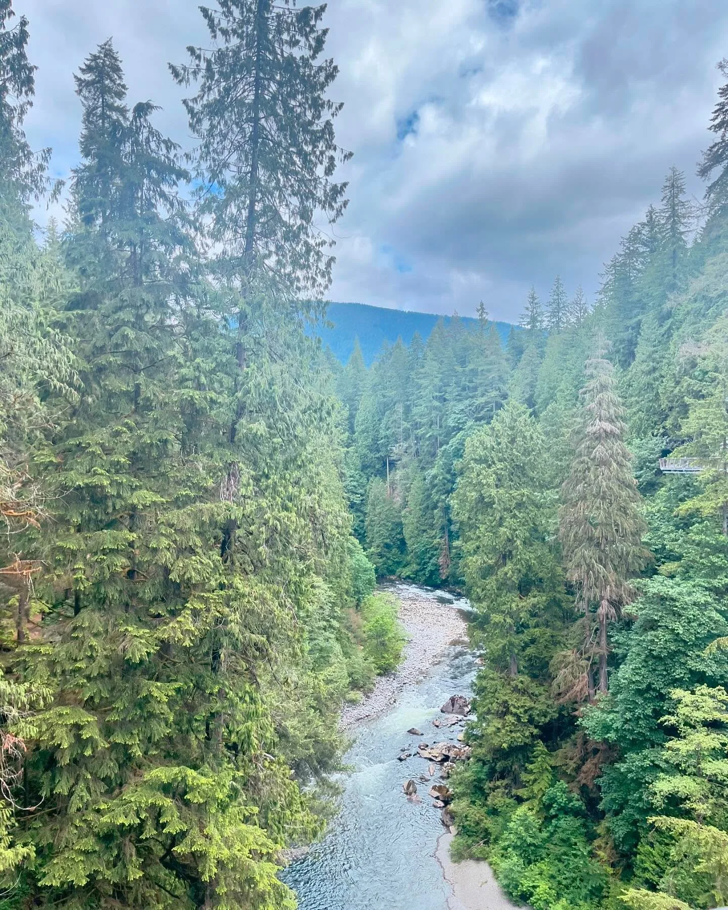 June reflections 🌲💦💫🥰

- Slowing down is beautiful medicine for the soul, even though it takes work and might feel uncomfortable at first 
- It can take an equal amount of time to unwind FROM a stressful/high anxiety period as the time spent IN t