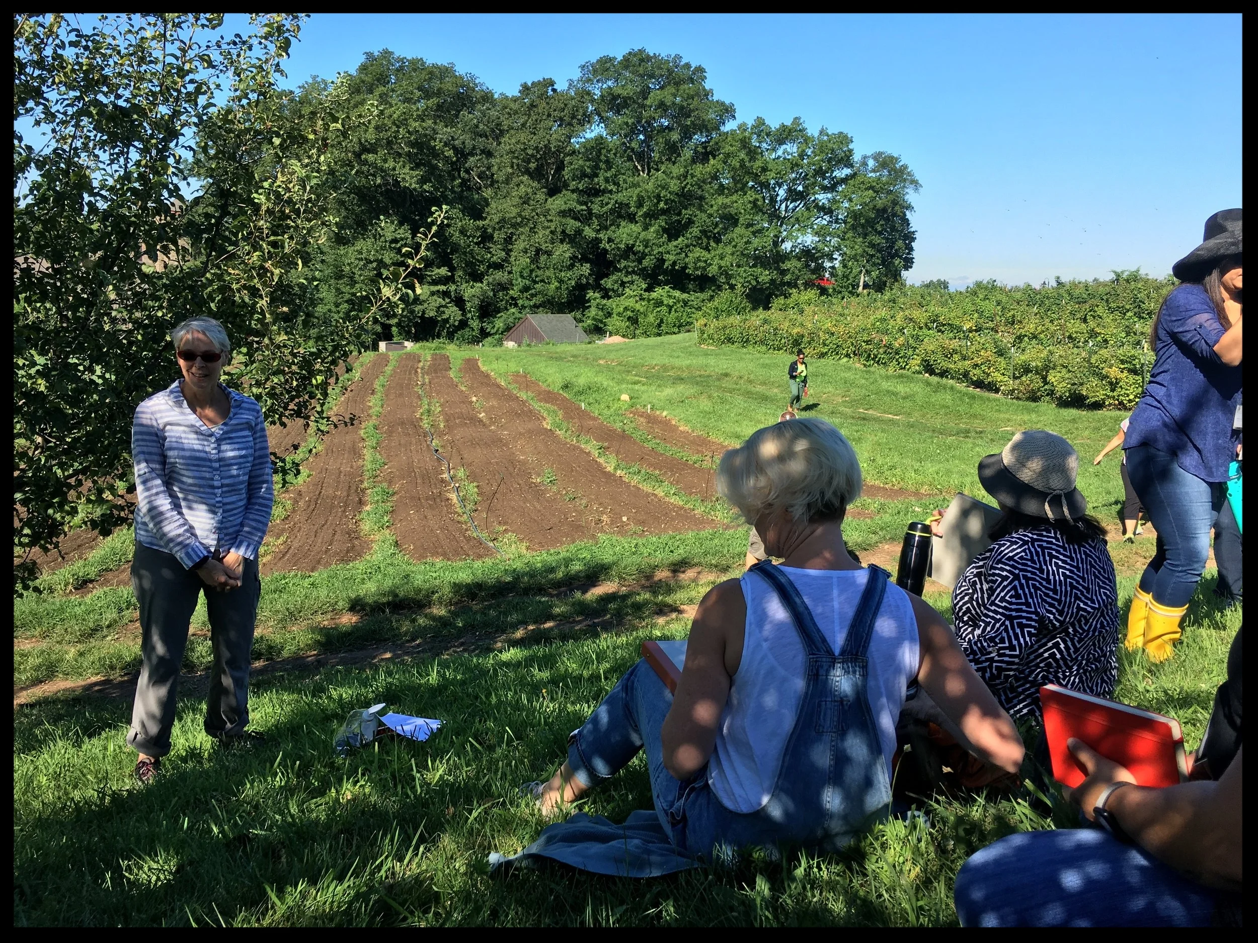 Food Studies Teacher Training
