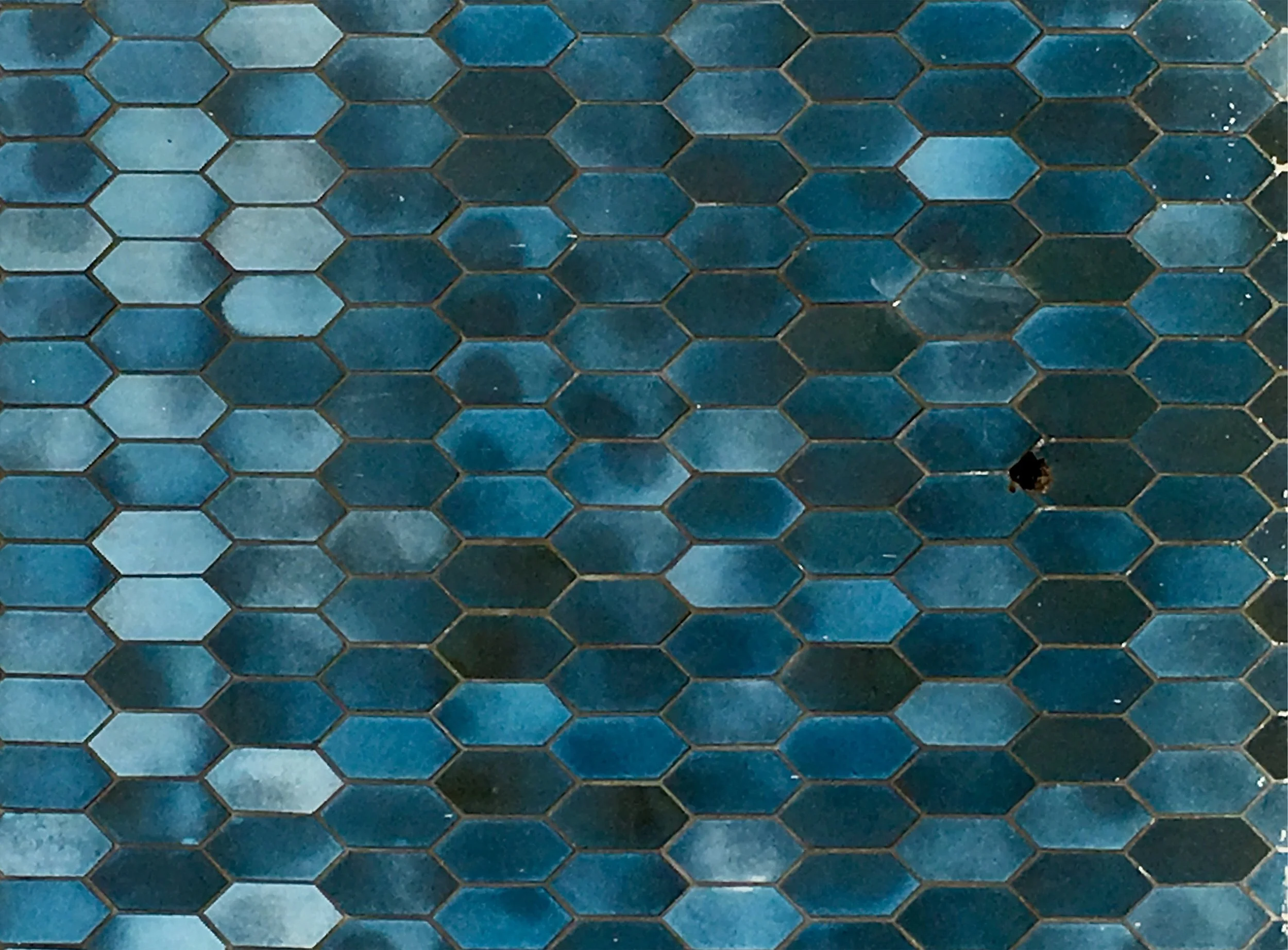 la blue tile.jpg