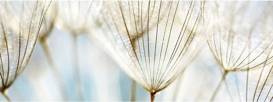 Why do a lot of your ingredients sound like chemicals?