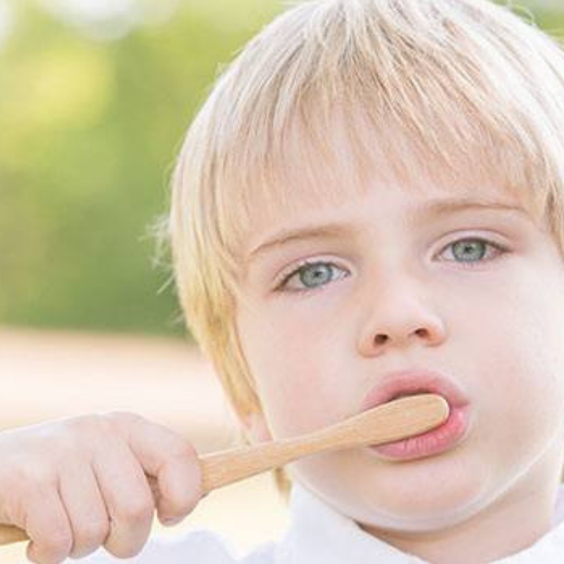 Natural and Organic Dental Care