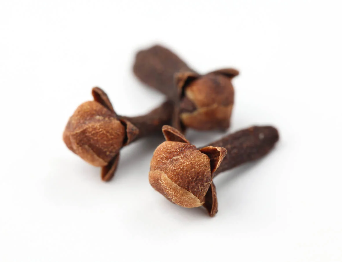 Clove_S_11.jpg