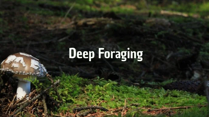 Deep Foraging Image Classifier + Supervised Classifier