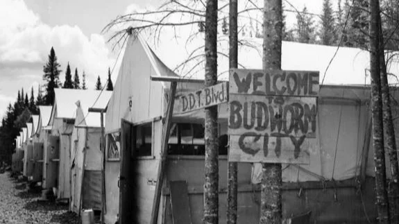 Budworm City. “Budworm City” was established in the early 1950s near Upsalquitch Lake and used as a base for DDT spray operations in northern New Brunswick. Photo credit: D.C. Anderson.