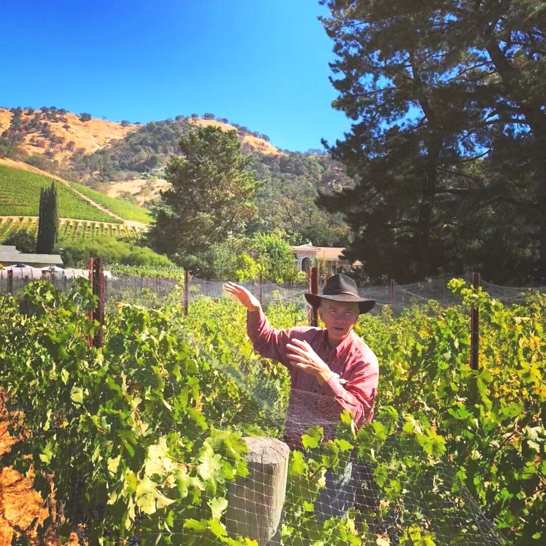 Dave Becker, One Acre vineyard, Lamm Vineyard, Yountville