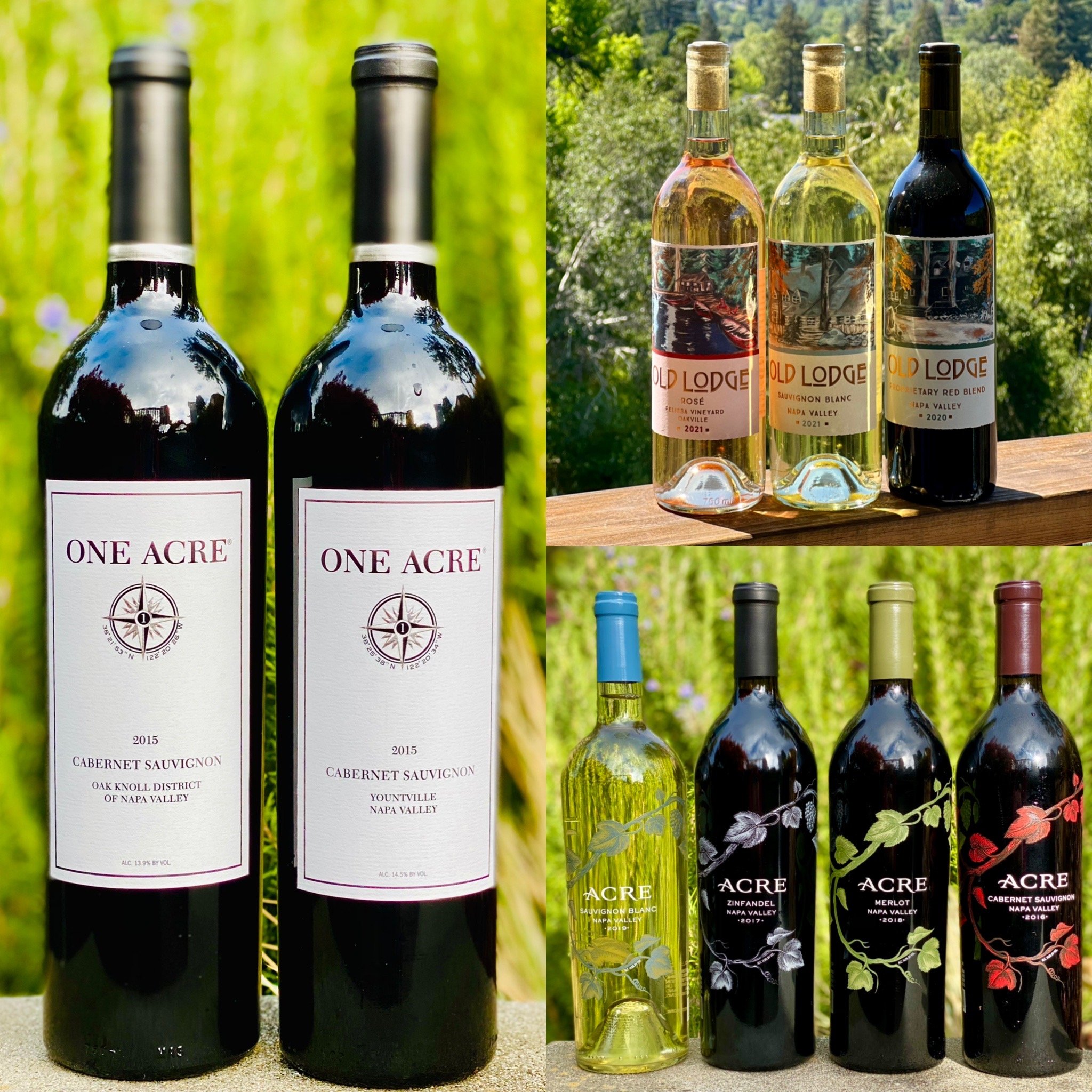 Portfolio Lineup Photo for Virtual Tasting Page.jpg