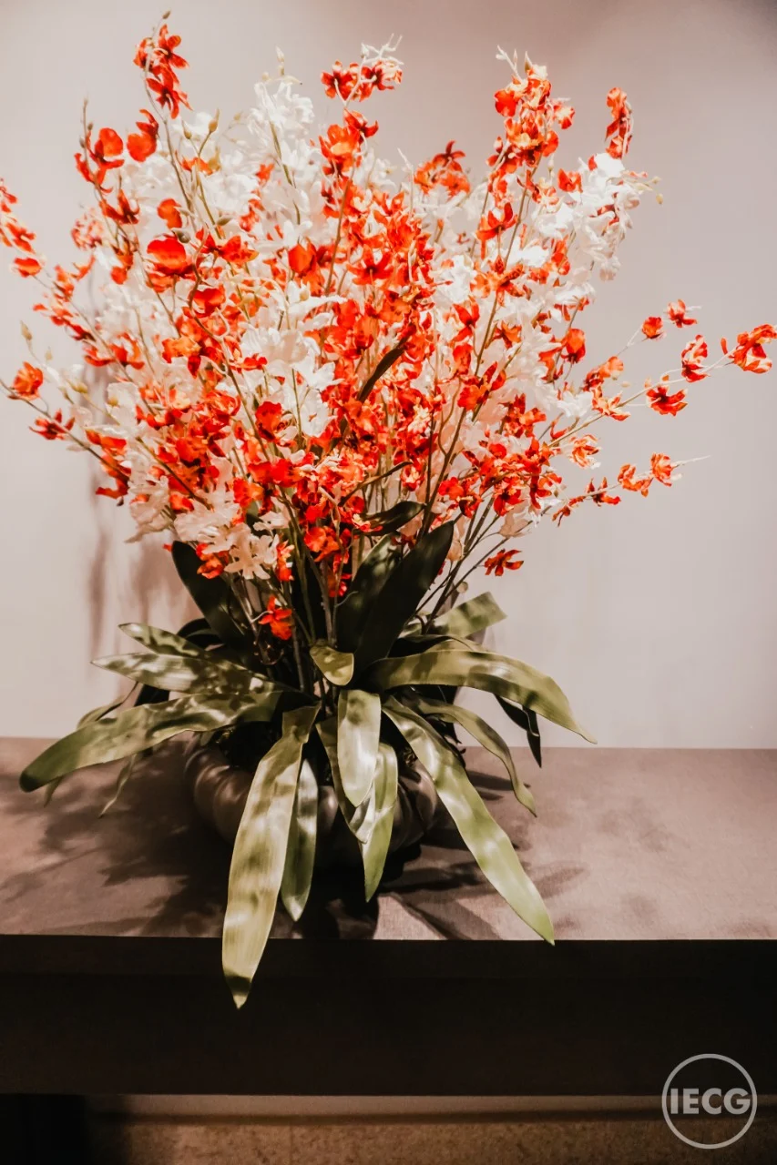 WhatsApp Image 2019-08-22 at 11.43.48.jpeg