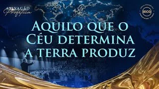 Aquilo que o Céu determina a Terra produz - Ativação Profética - AP Edmilson