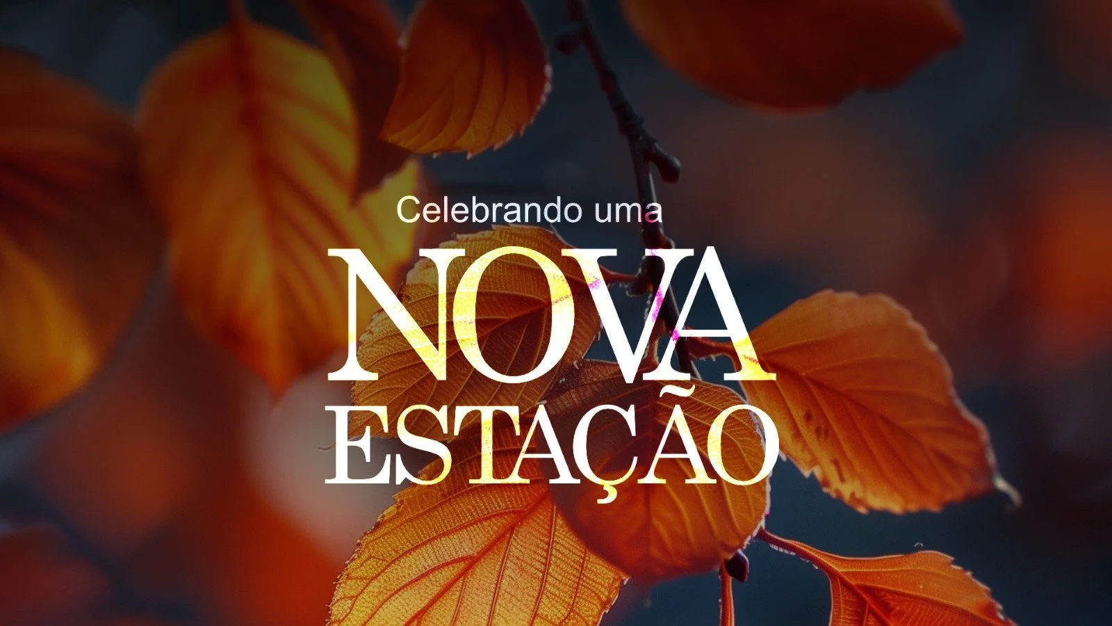 Celebrando uma Nova Estação - Ap Edmilson