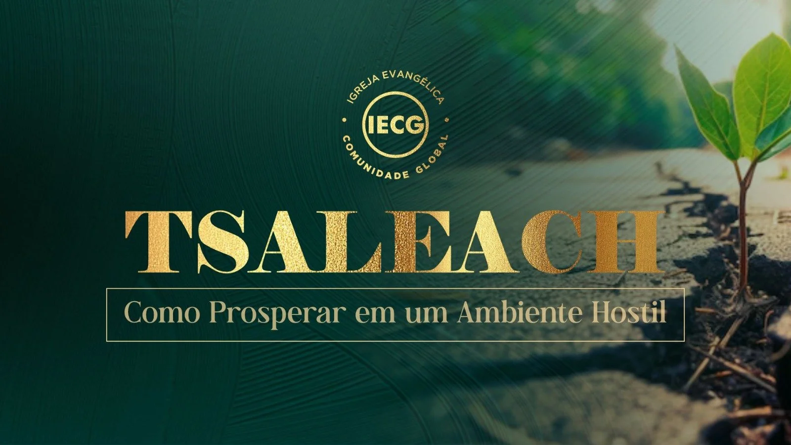 Tsaleach - Como Prosperar em um ambiente hostil - Ap Edmilson