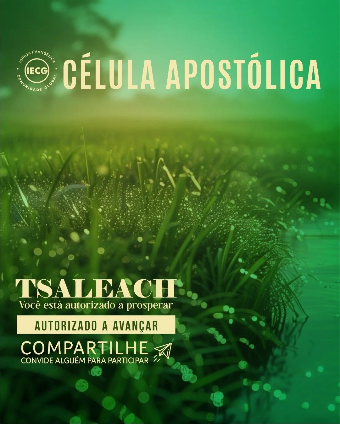 WhatsApp Image 2025-05-19 at 16.12.57 (4).jpeg