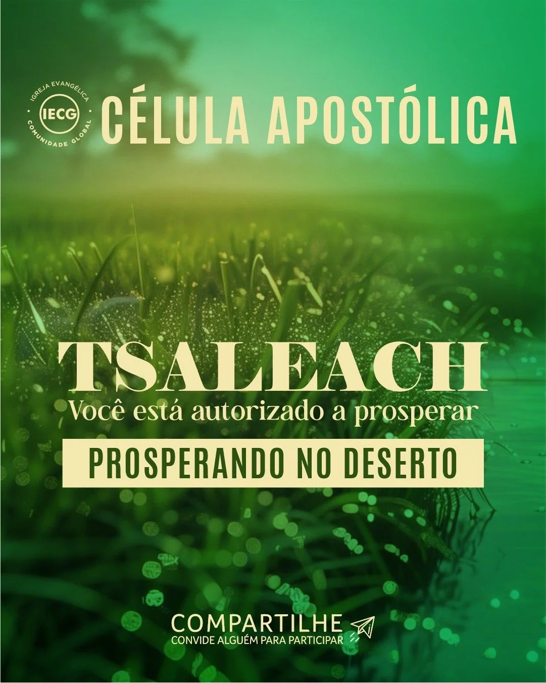 WhatsApp Image 2025-06-02 at 14.10.56.jpeg