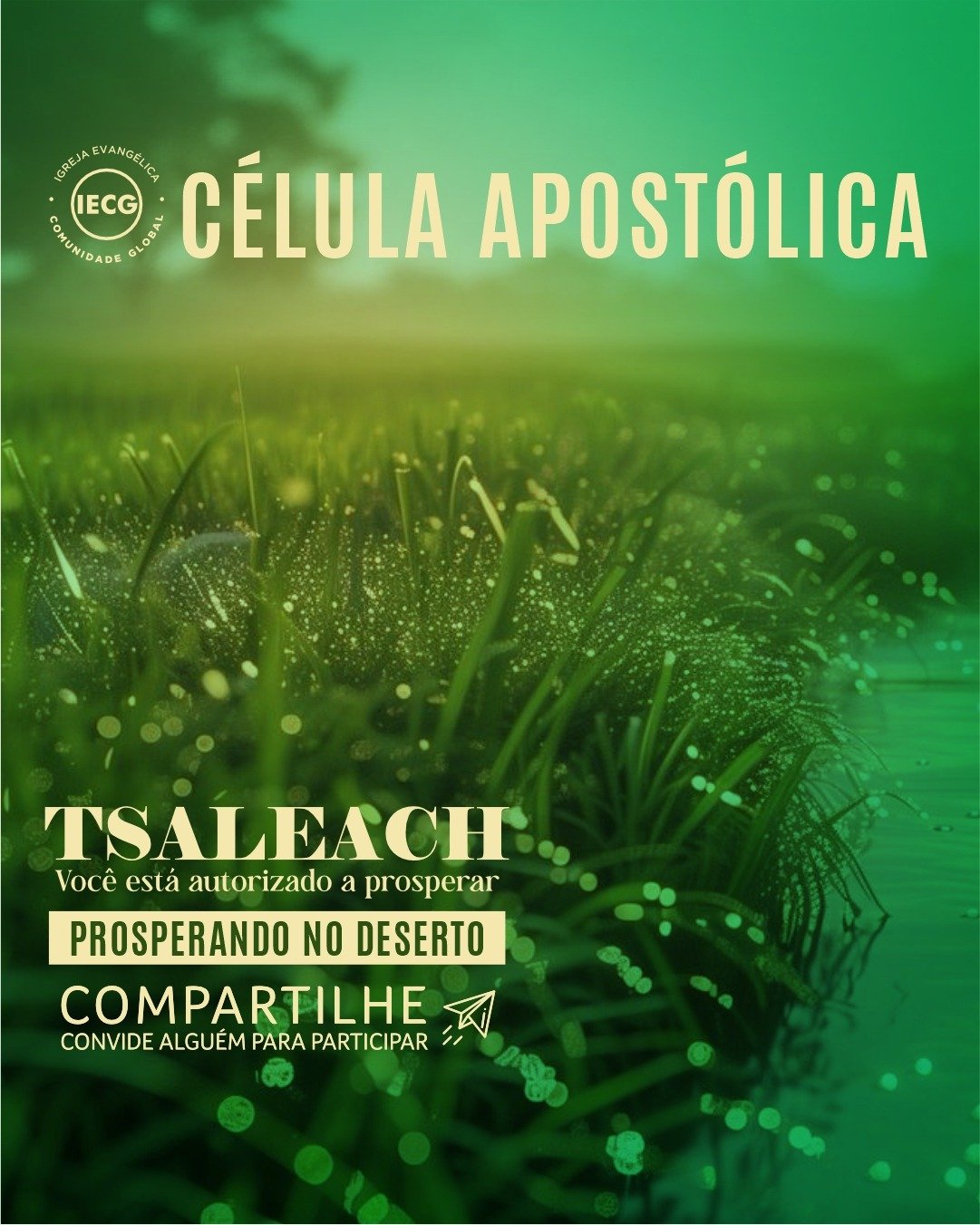 WhatsApp Image 2025-06-02 at 14.10.57 (1).jpeg