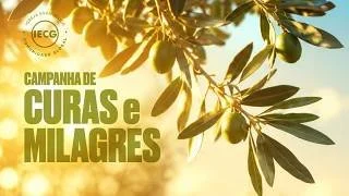 Campanha de Curas e Milagres - Ap Edmilson