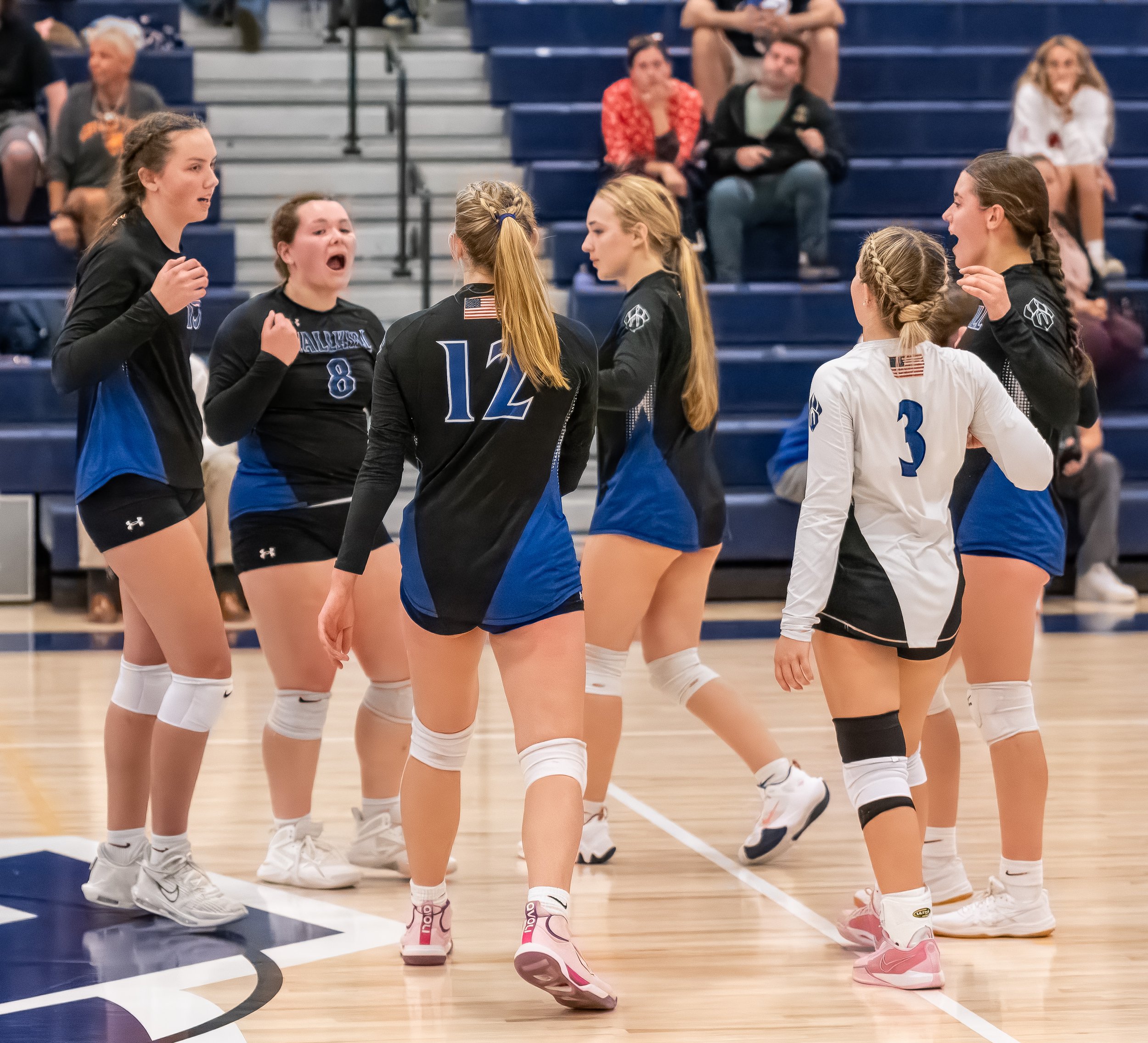 2024-09-24 Varsity Volleyball vs. F.D.R.-48.jpg