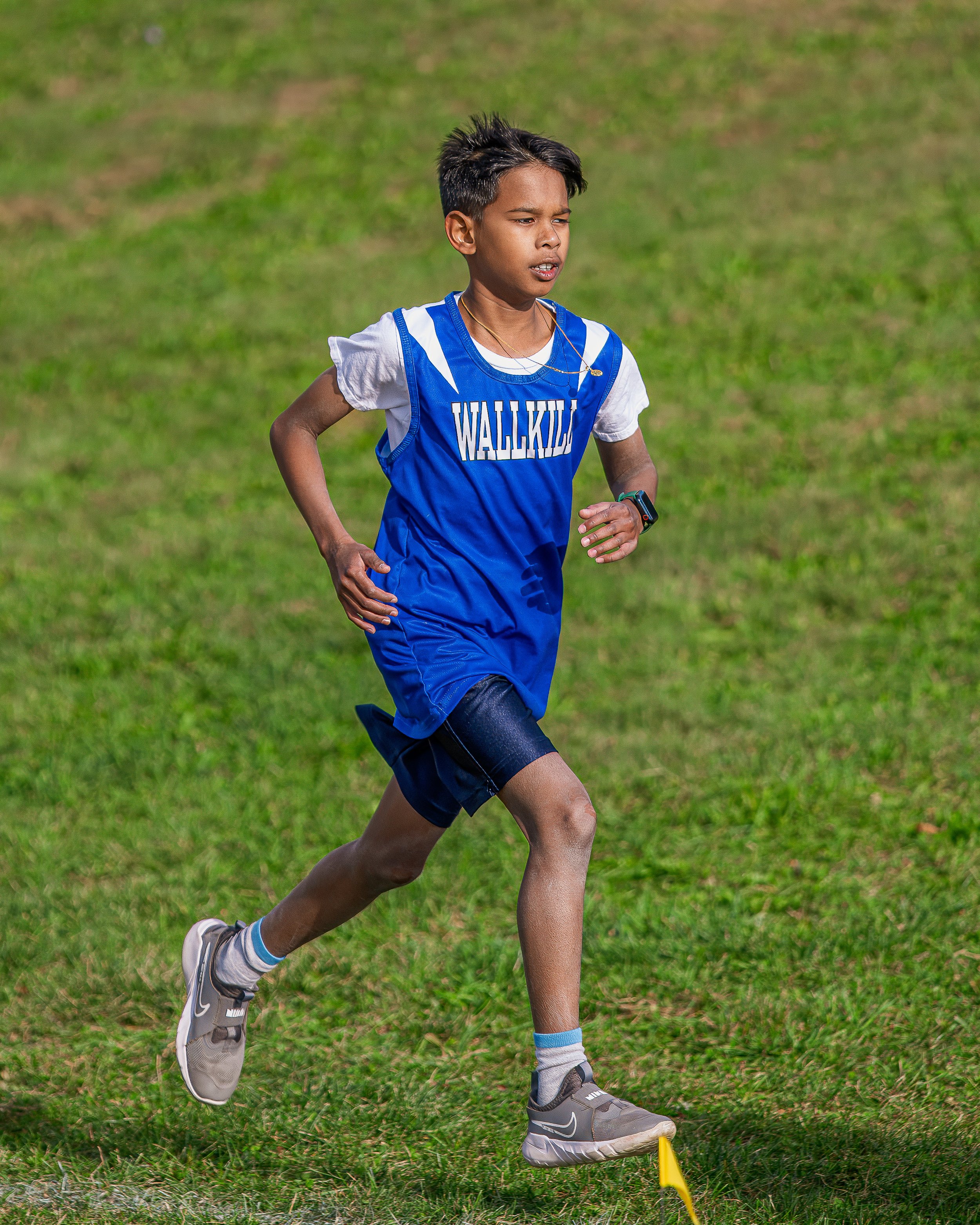 2024-10-09 Boys Modified Cross Country vs. Pine Plains & Dover-8.jpg