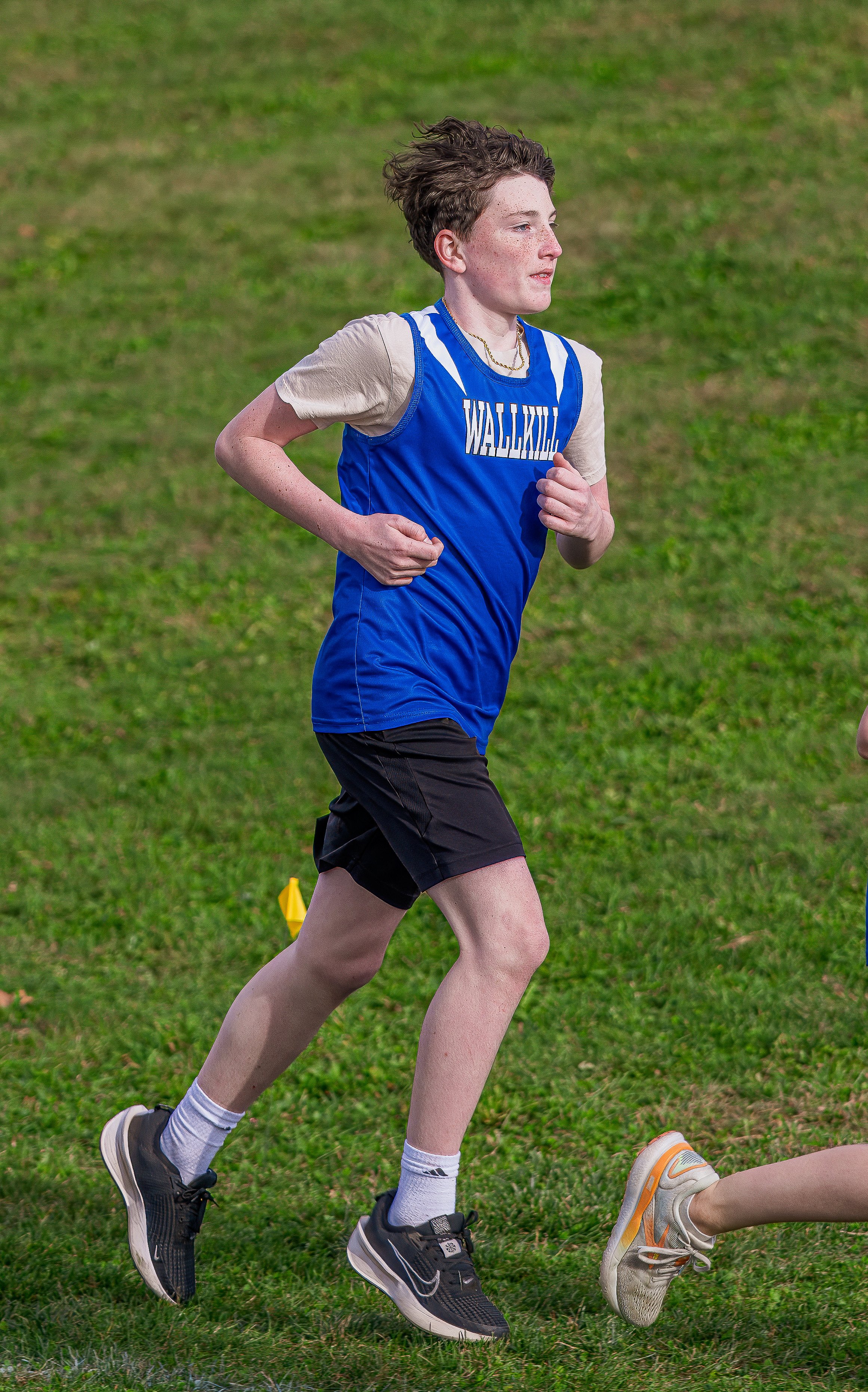 2024-10-09 Boys Modified Cross Country vs. Pine Plains & Dover-9.jpg