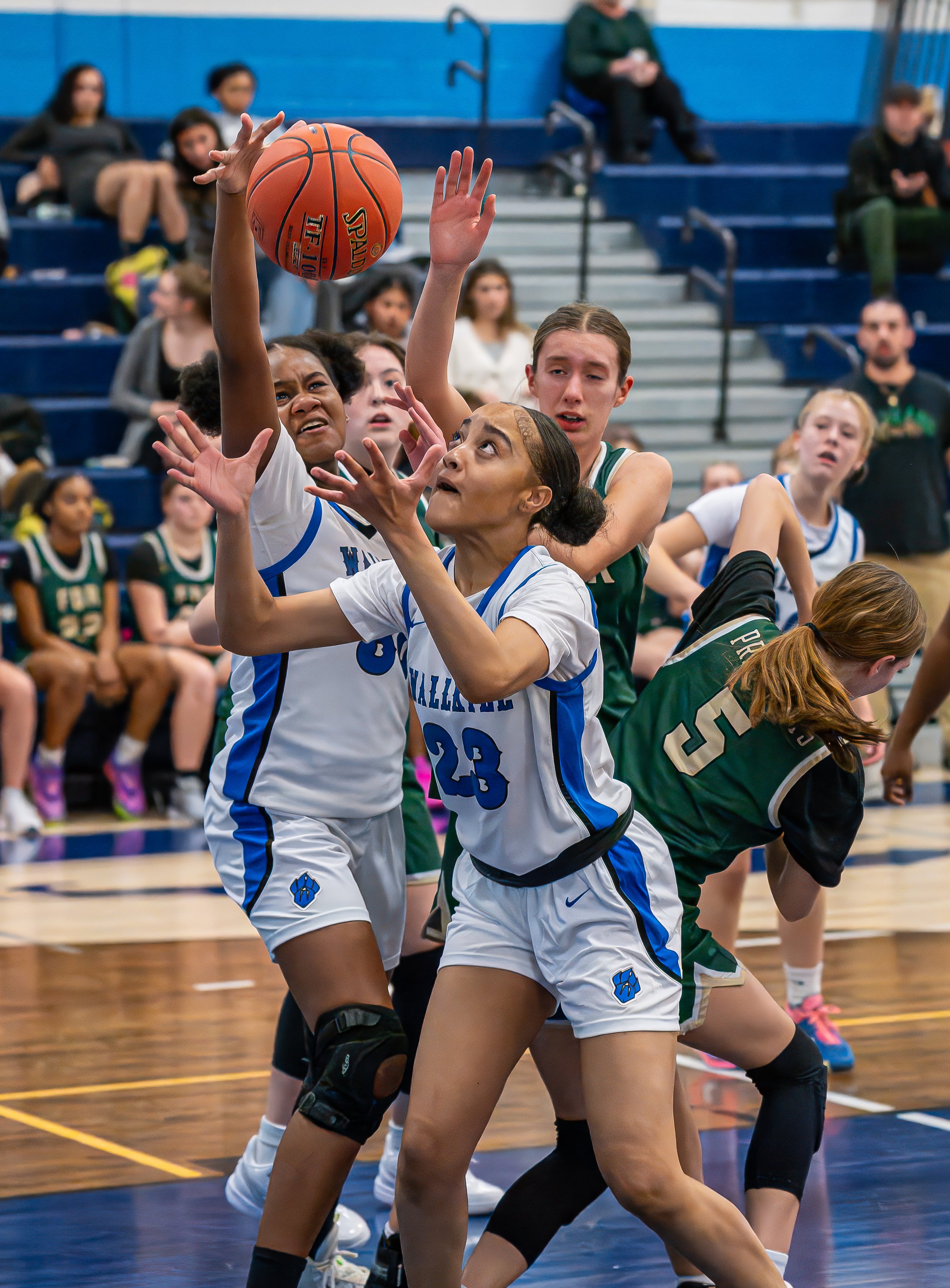 2024-12-13 Girls JV Basketball vs. F.D.R.-6.jpg