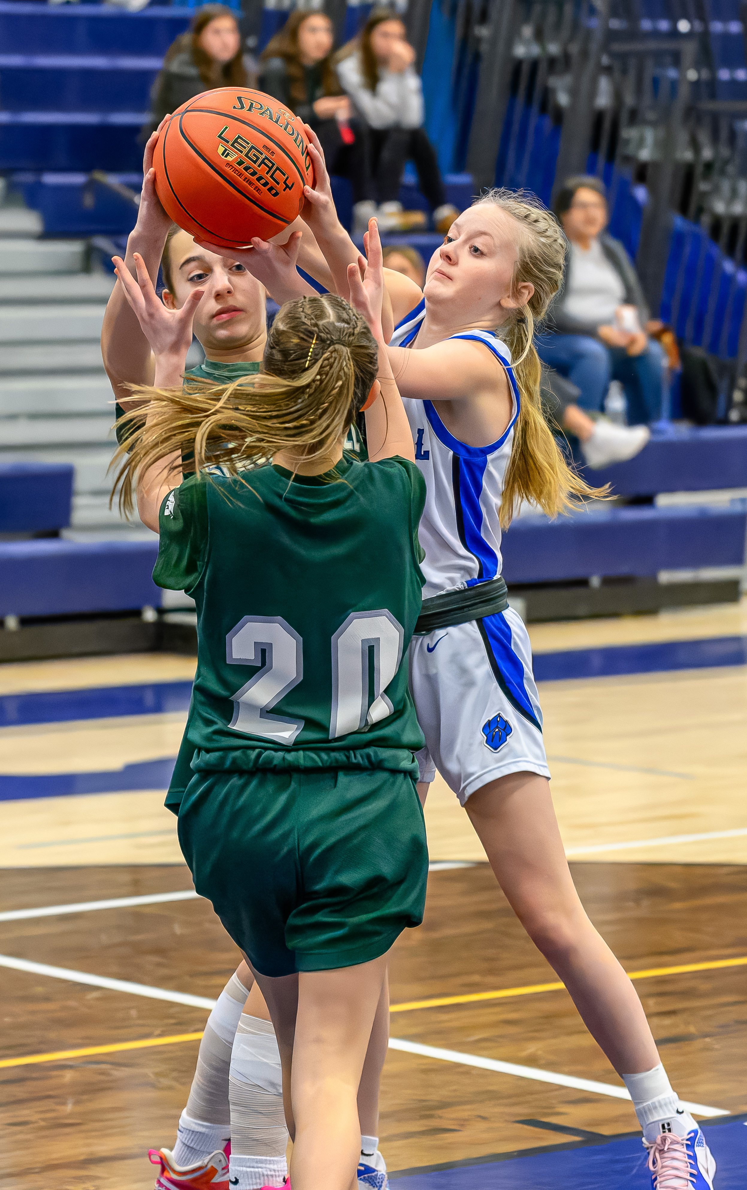 2025-02-04 Girls JV Basketball vs. Spackenkill-37.jpg