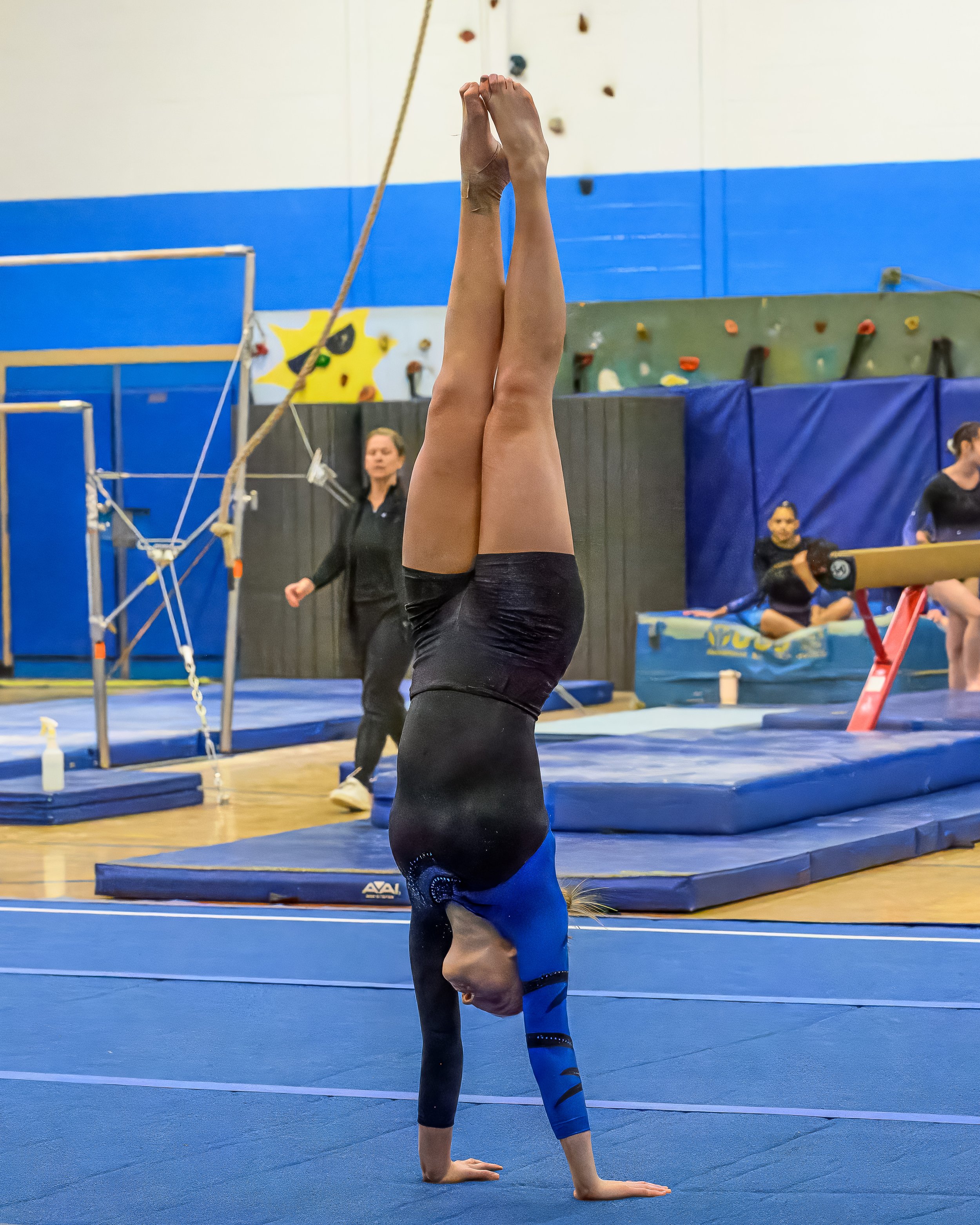 2025-02-05 Gymnastics vs. Valley Central-81.jpg