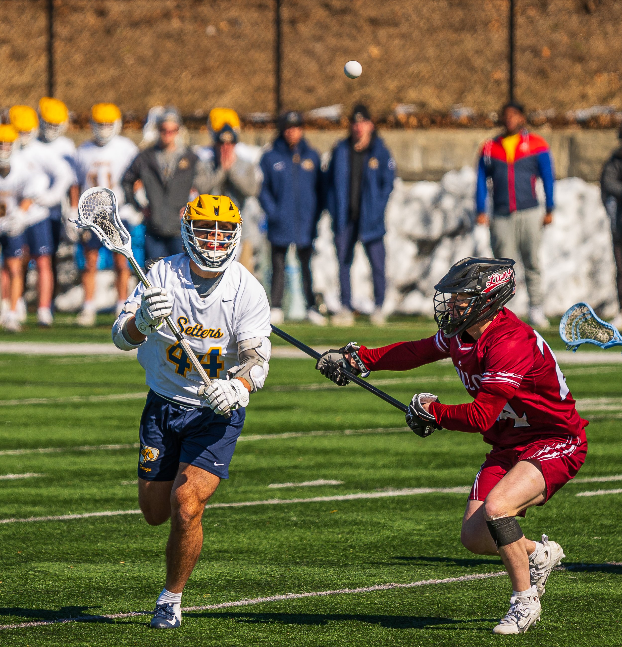2025-02-22 Pace Lacrosse vs. Molloy University-31.jpg