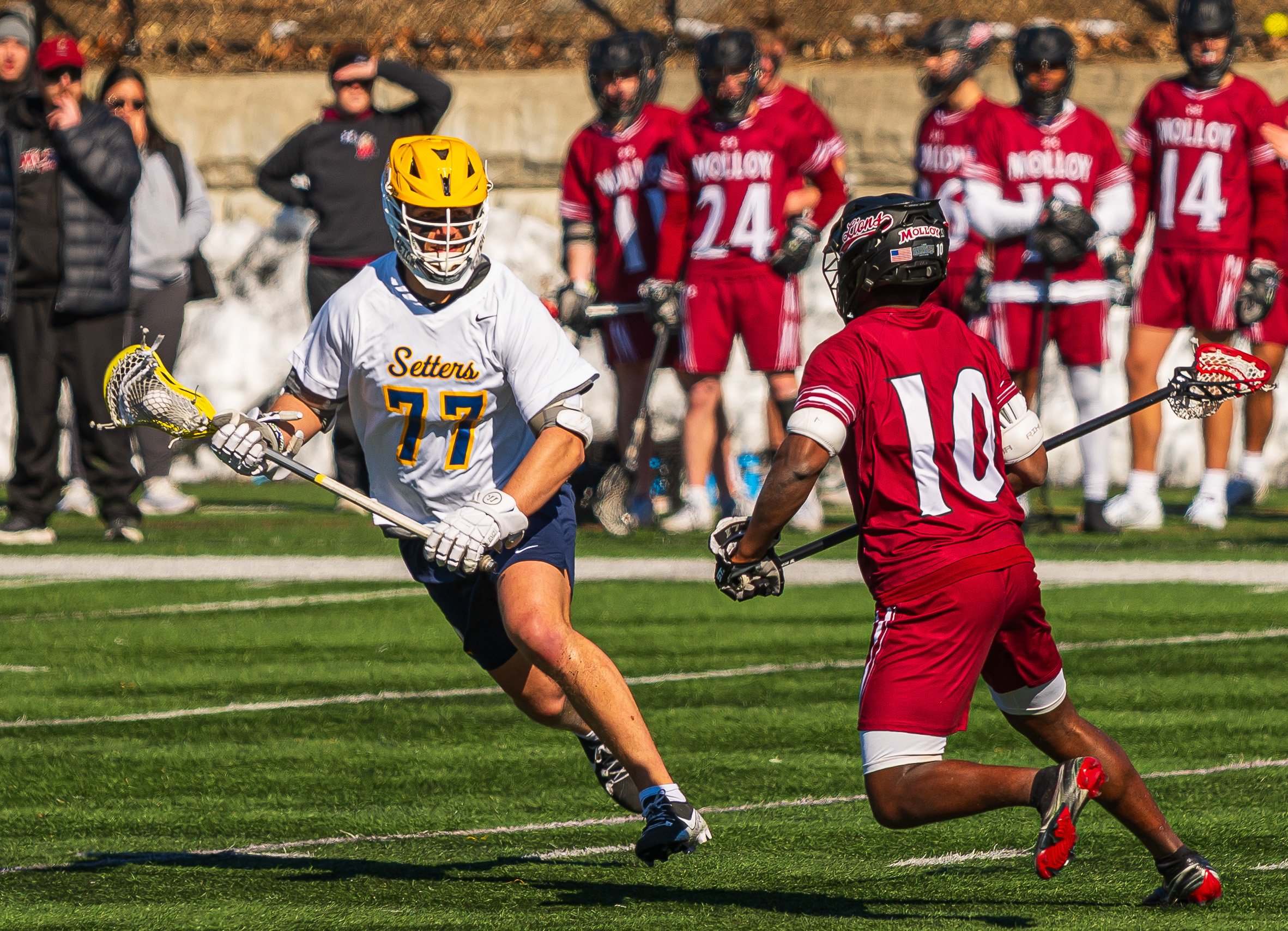 2025-02-22 Pace Lacrosse vs. Molloy University-91.jpg