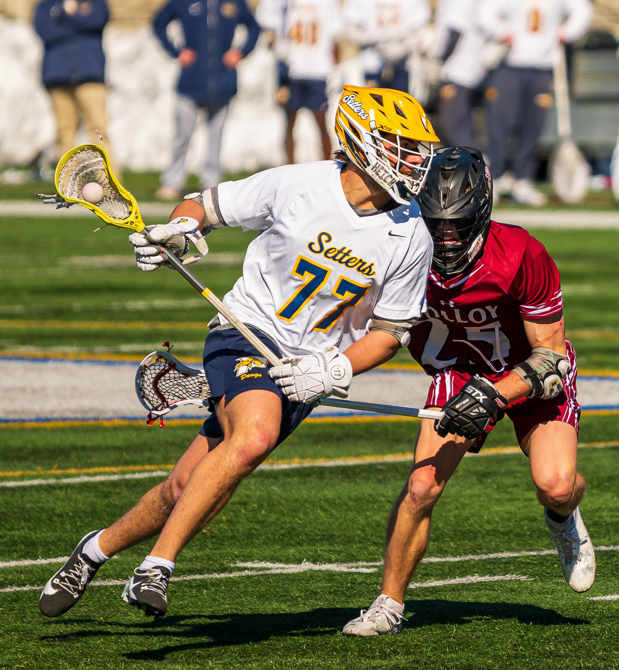 2025-02-22 Pace Lacrosse vs. Molloy University-102.jpg