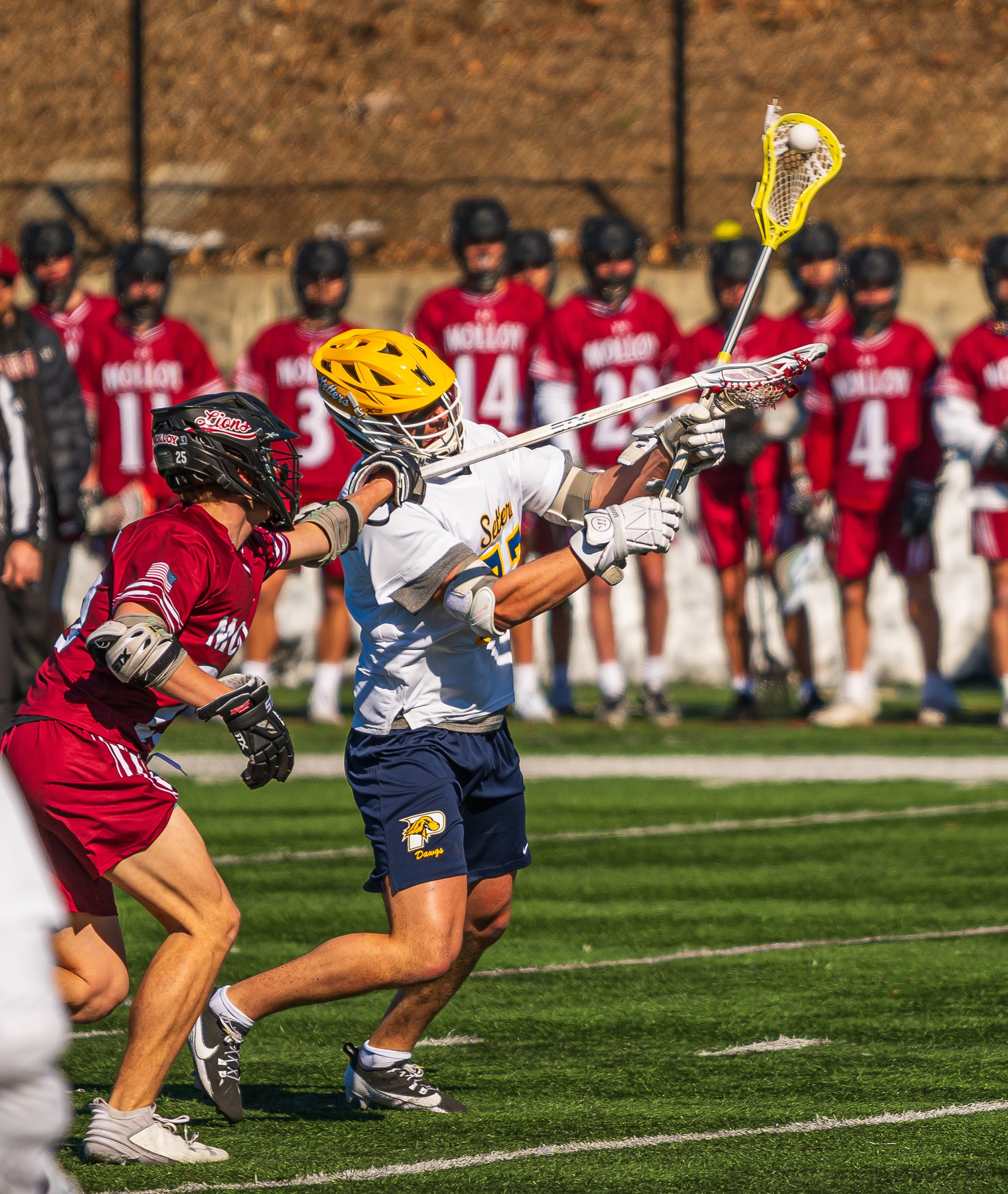 2025-02-22 Pace Lacrosse vs. Molloy University-103.jpg