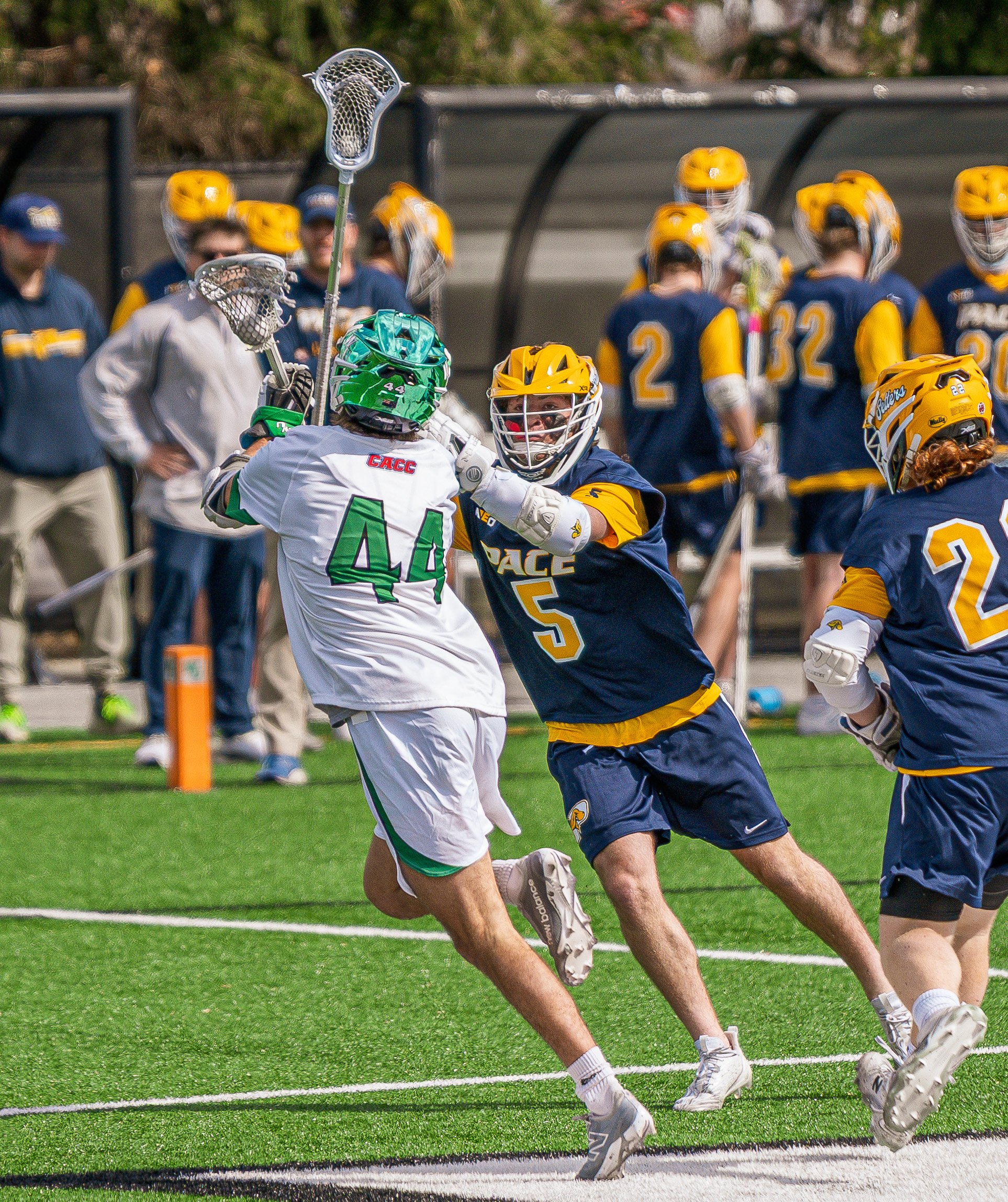 2025-03-01 Pace Lacrosse @ Wilmington University-59.jpg