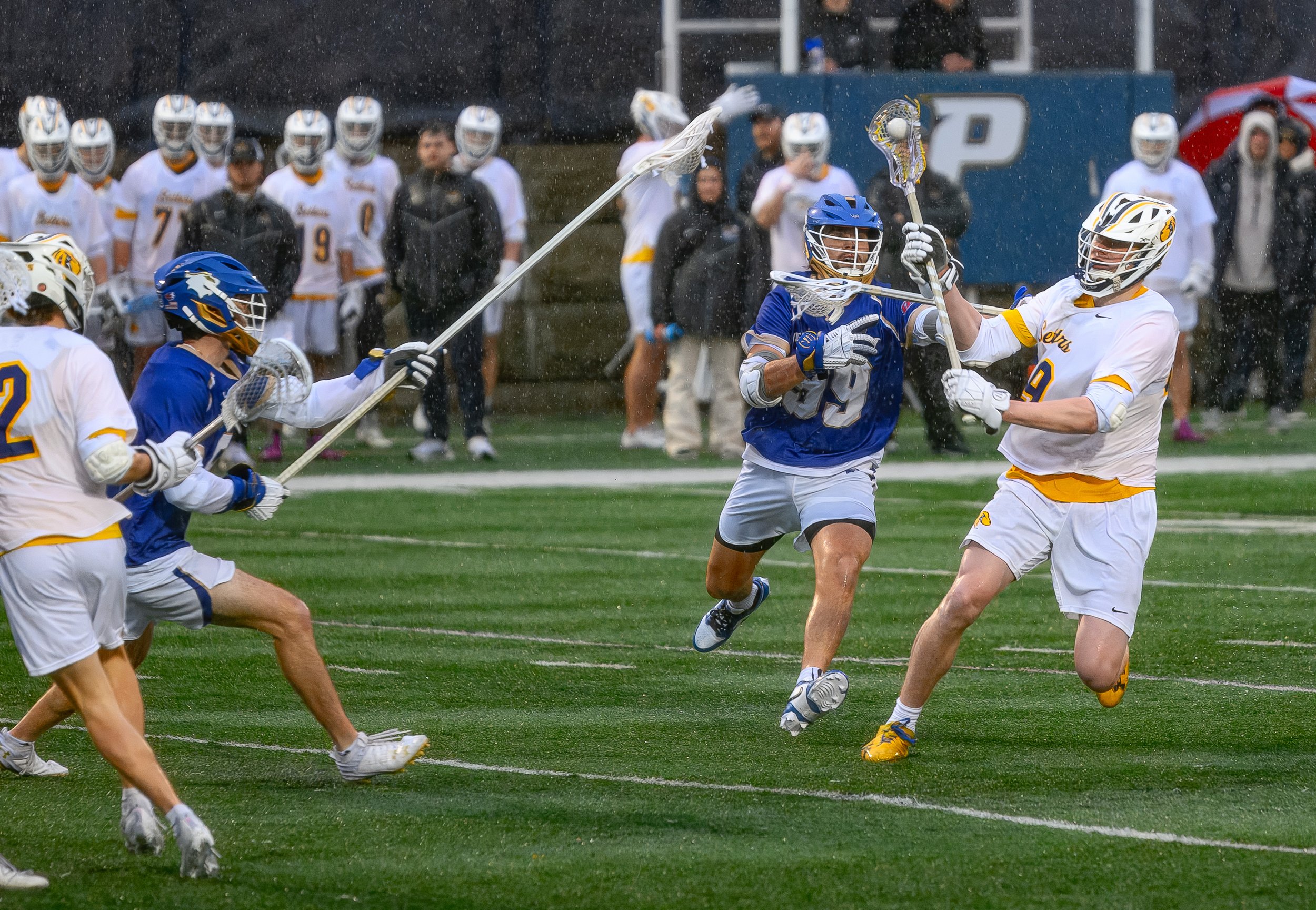 2025-03-05 Pace Lacrosse vs. Georgian Court University-114.jpg