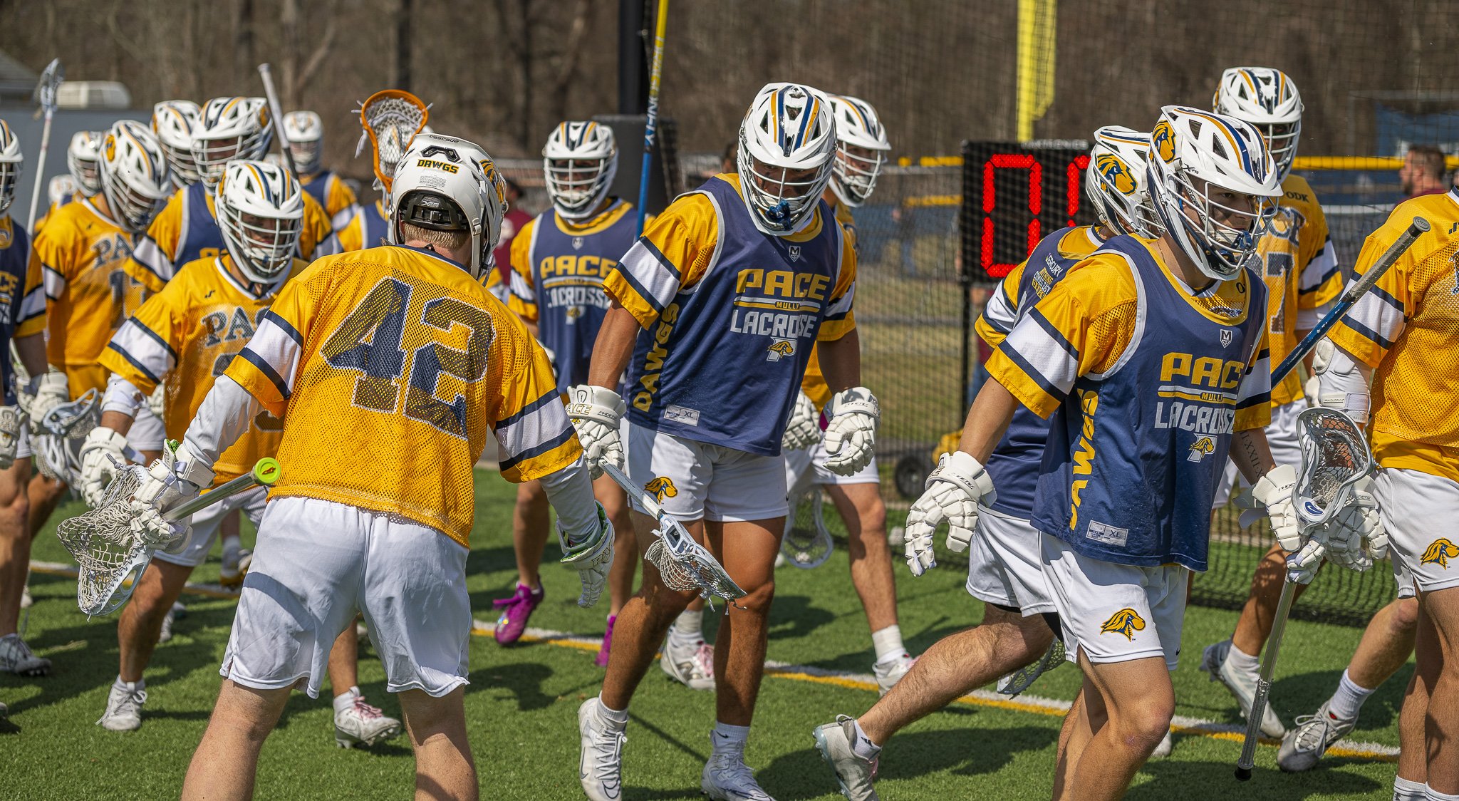 2025-03-29 Pace Lacrosse vs. St. Michael's College-21-12.jpg