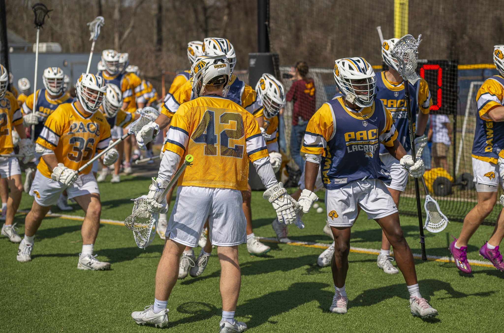 2025-03-29 Pace Lacrosse vs. St. Michael's College-22-13.jpg