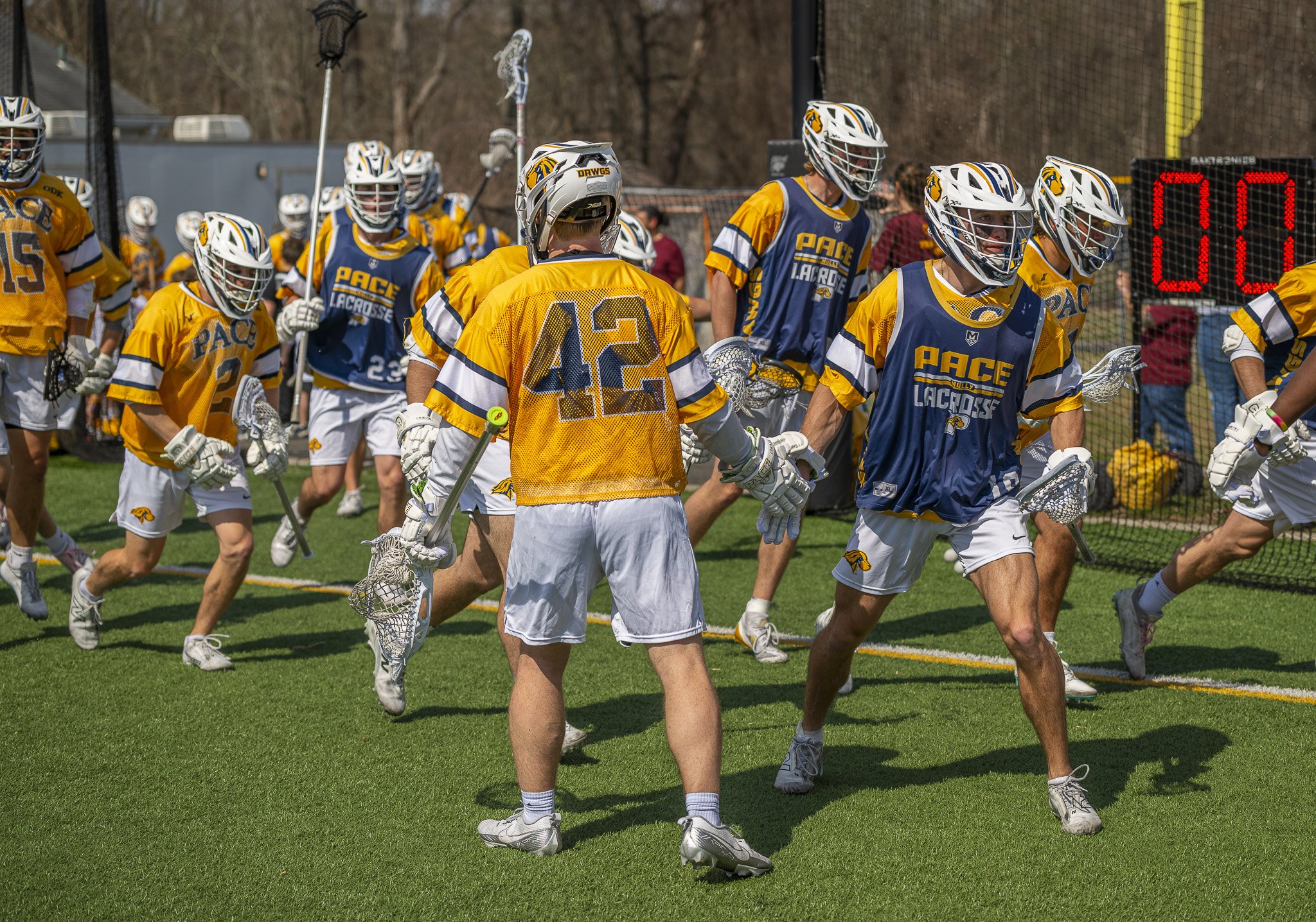 2025-03-29 Pace Lacrosse vs. St. Michael's College-23-14.jpg