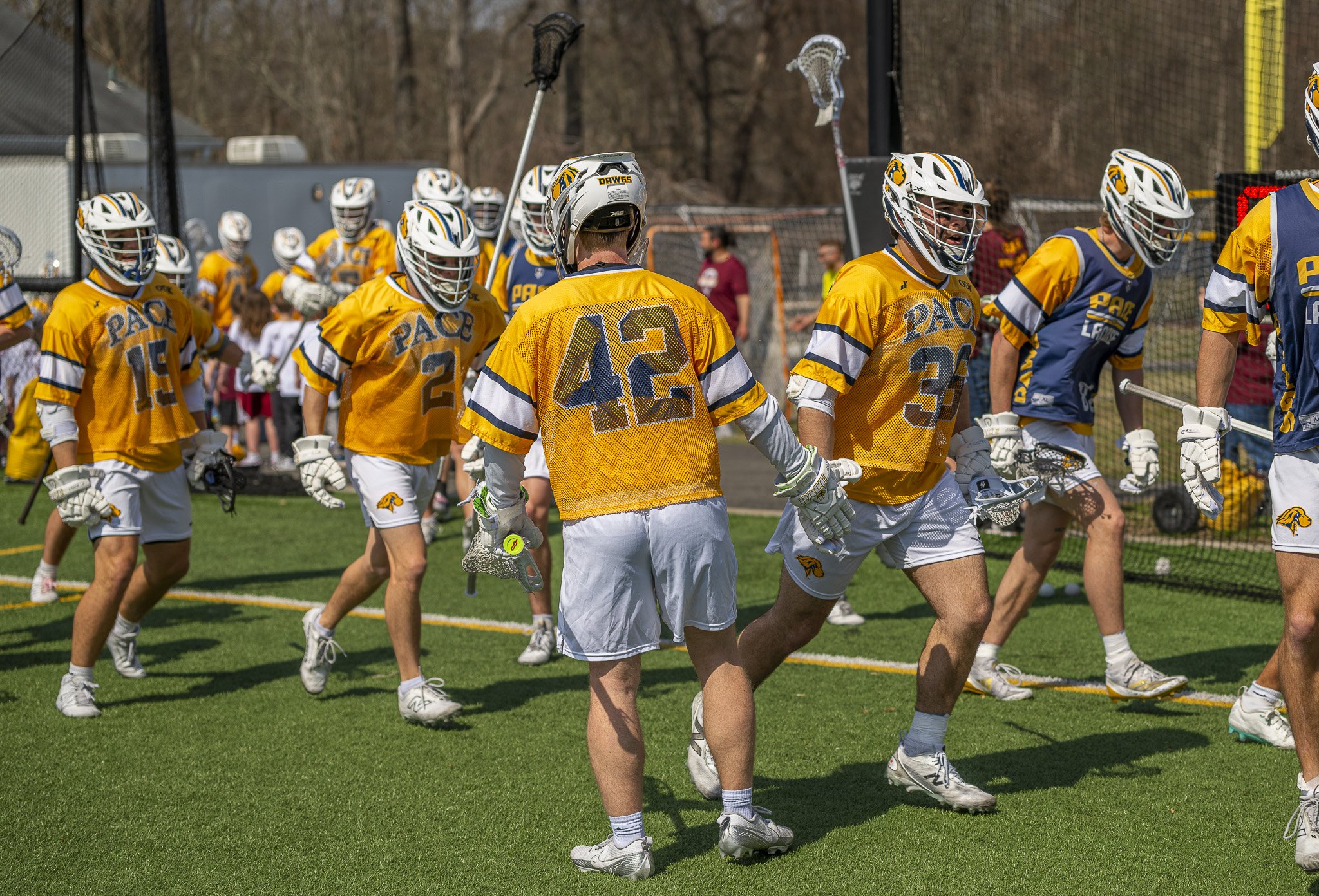 2025-03-29 Pace Lacrosse vs. St. Michael's College-24-15.jpg